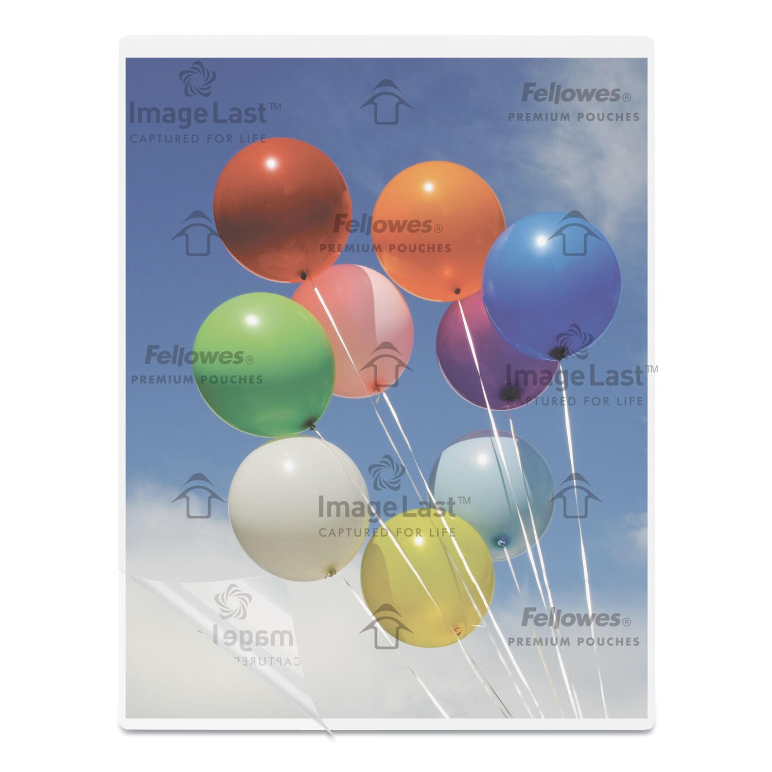 Fellowes ESNFEL5244101 Sheet-Protectors-Dividers - View #3