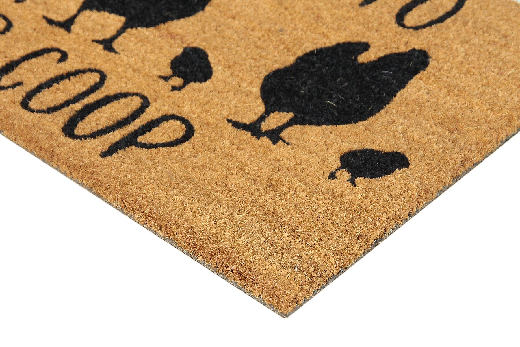 Style Selections 2-ft x 3-ft Black Rectangular Indoor Spring Door Mat in  the Mats department at