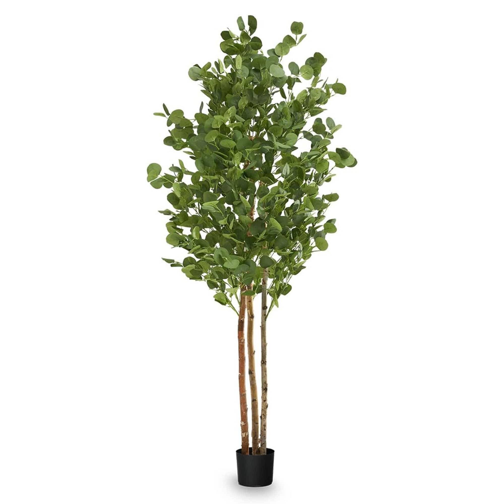 MAIA SHOP 401568 Artificial Eucalyptus Tree 6 Feet Tall Fake Tree with Natural Wood Trunk