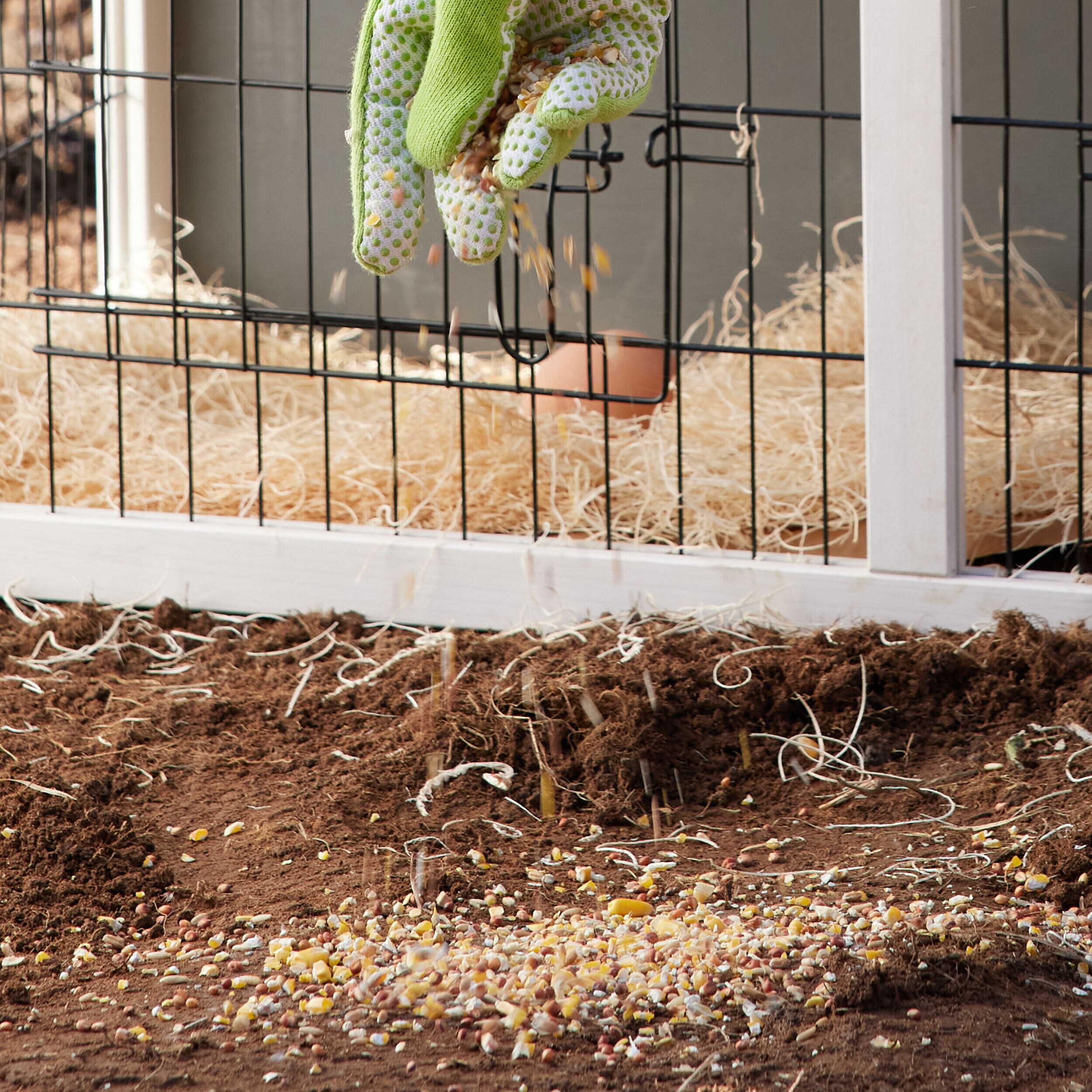 Pecking Order 009583 Bird-Squirrel-Food - View #12