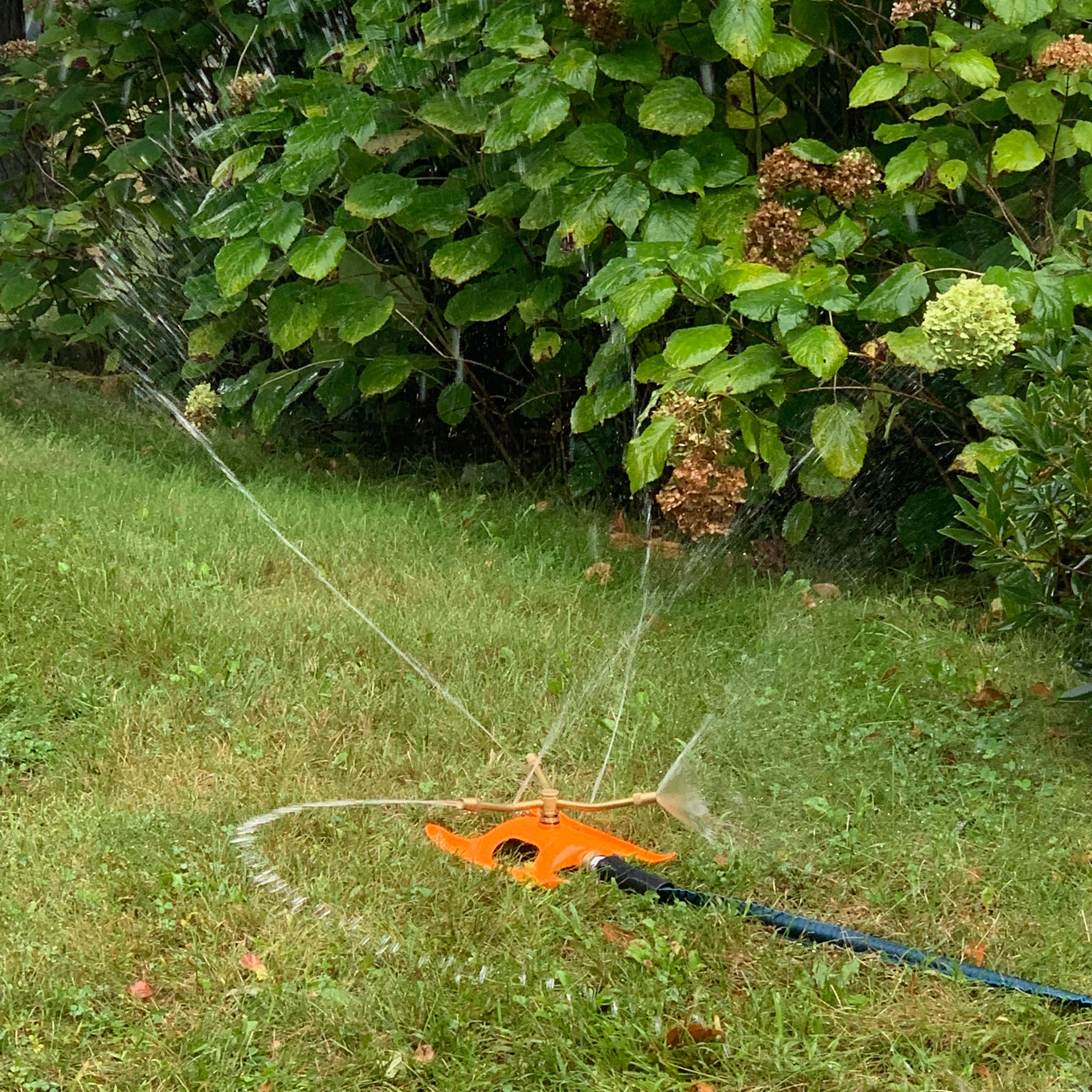 Kings County tools GW23A03-01 sprinklers - View #7