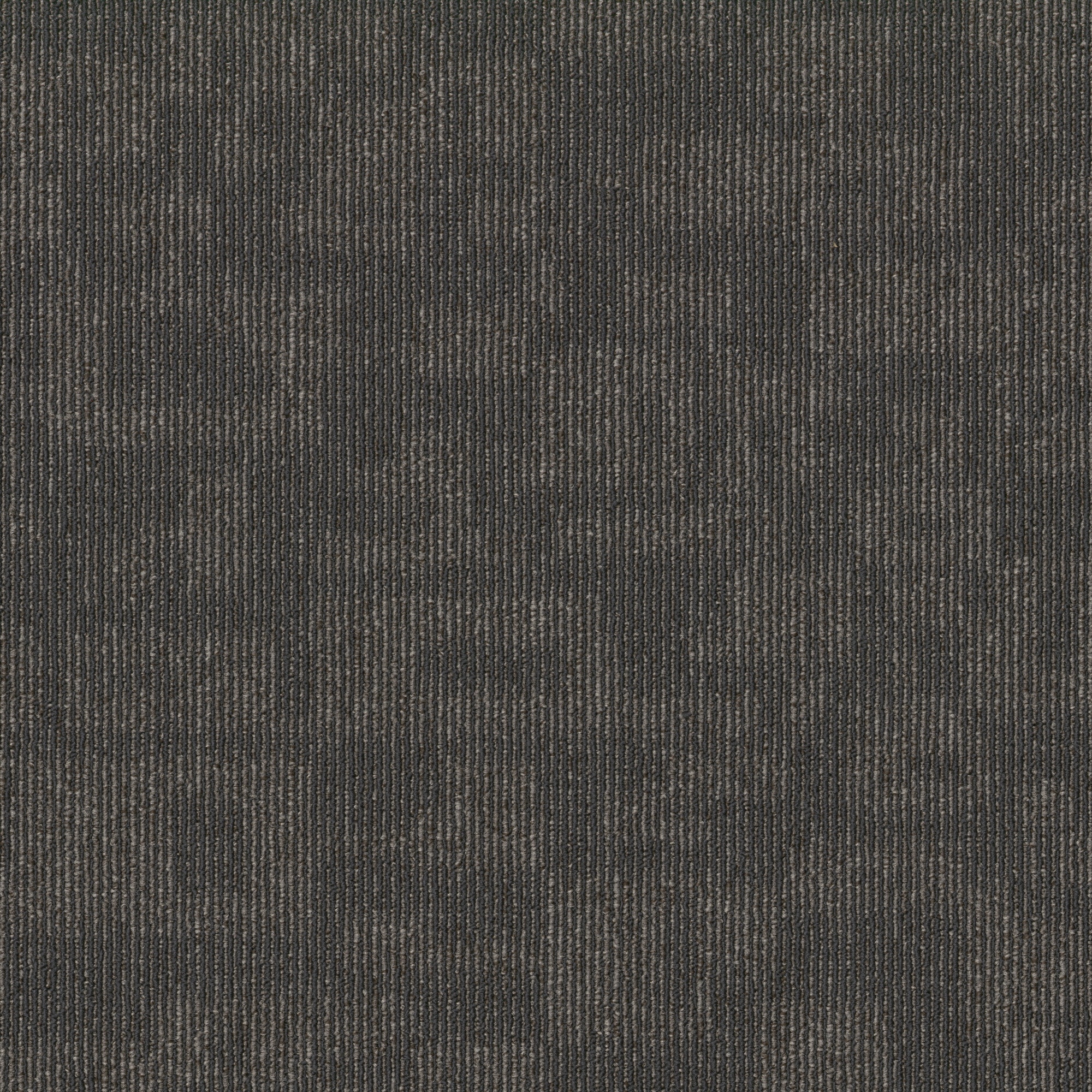 Shaw 7P0UU00510 Sway 24-in x 24-in Modeled Gray Commercial Adhesive Indoor Carpet Tile ( 80-sq ft )