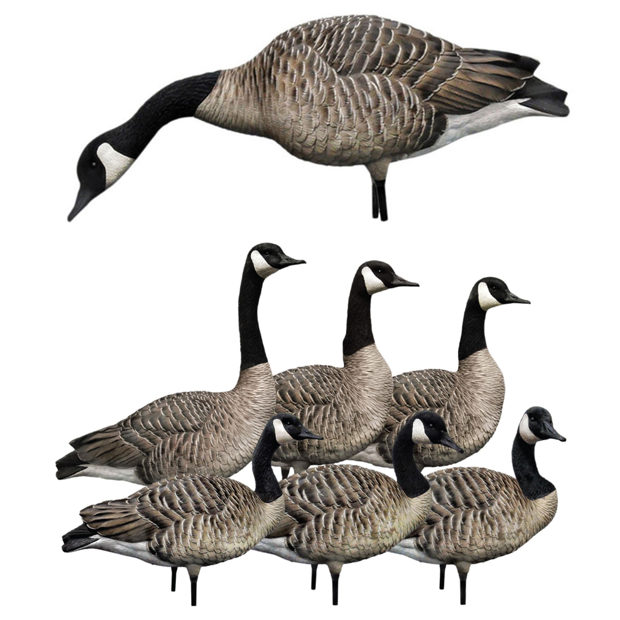  Avian X 408560 28.5 x 18 x 16.5 Inche(s) Decoy 2 -Pack