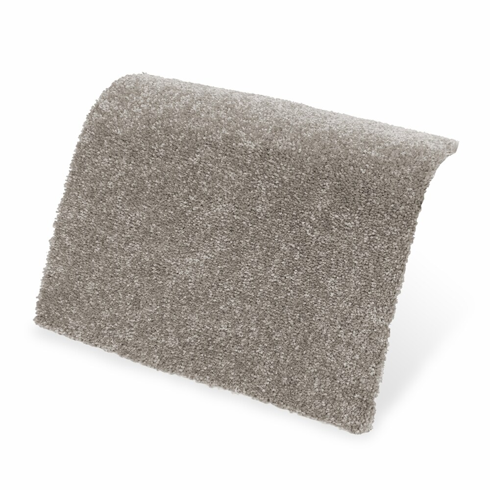 STAINMASTER STP67-12-L012 Carpet-Panel - View #4