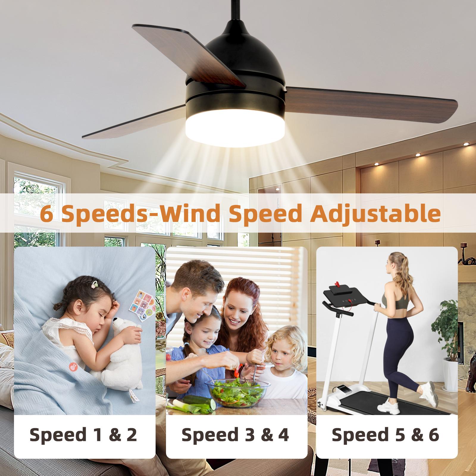 Bayfeve BFSHL-19774-CF Ceiling-Fans - View #4