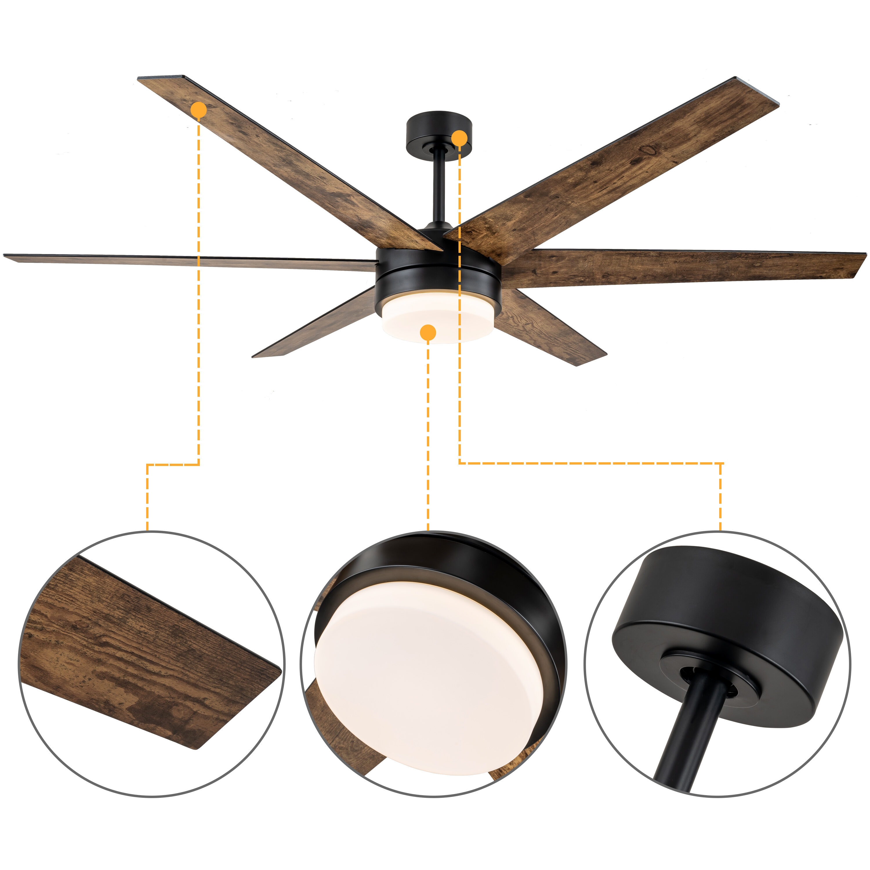 C Cattleya LCA2371-CF Ceiling-Fans - View #4