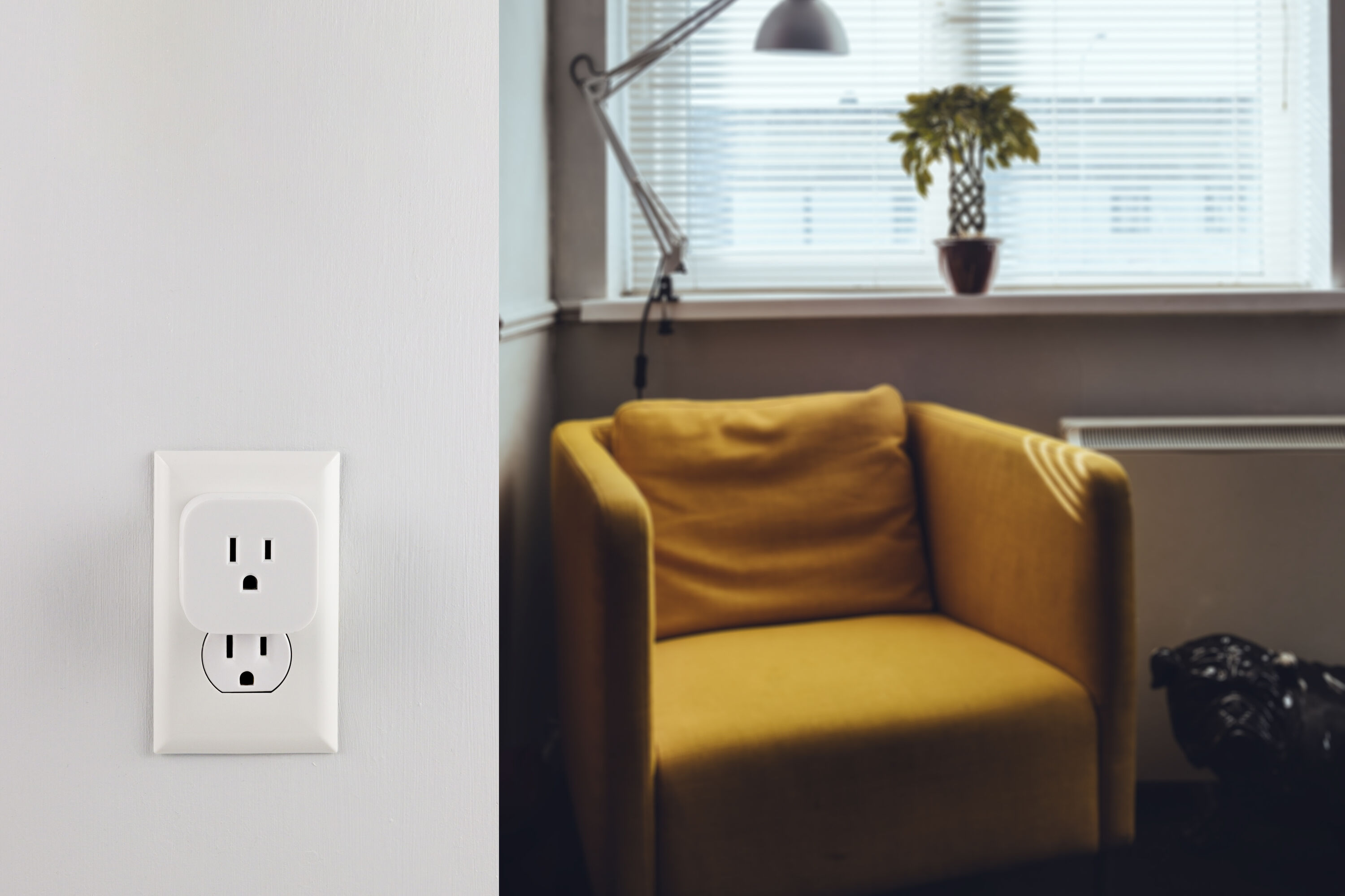 Enbrighten 81197 Iris-Smart-Plug - View #5
