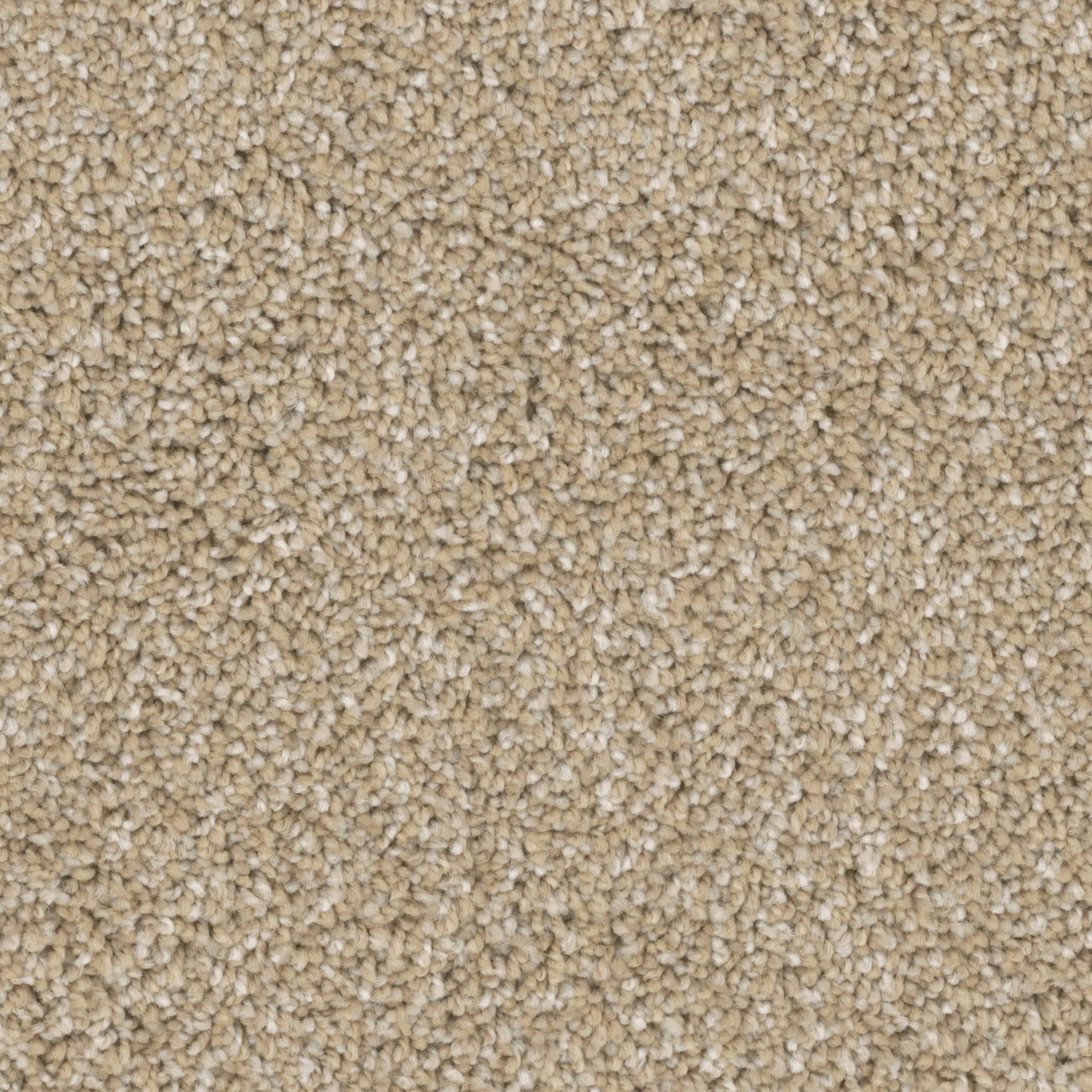 STAINMASTER PetProtect S9340-122-S (Sample) Druid Hills Community Multi-Colored 40-oz sq yard Nylon Textured Indoor Carpet