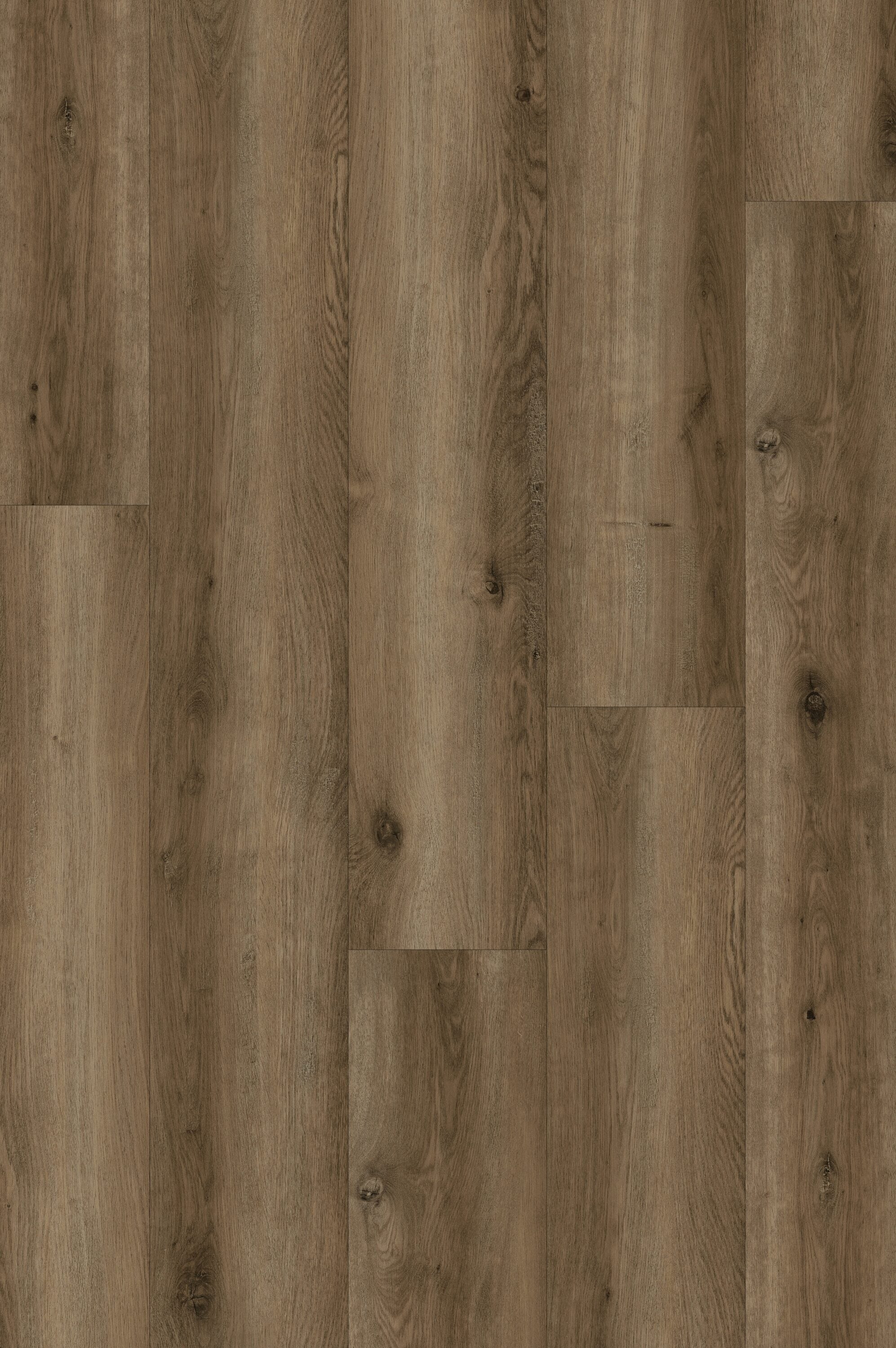Style Selections Warm Honey Oak 12-mil x 7-in W x 48-in L