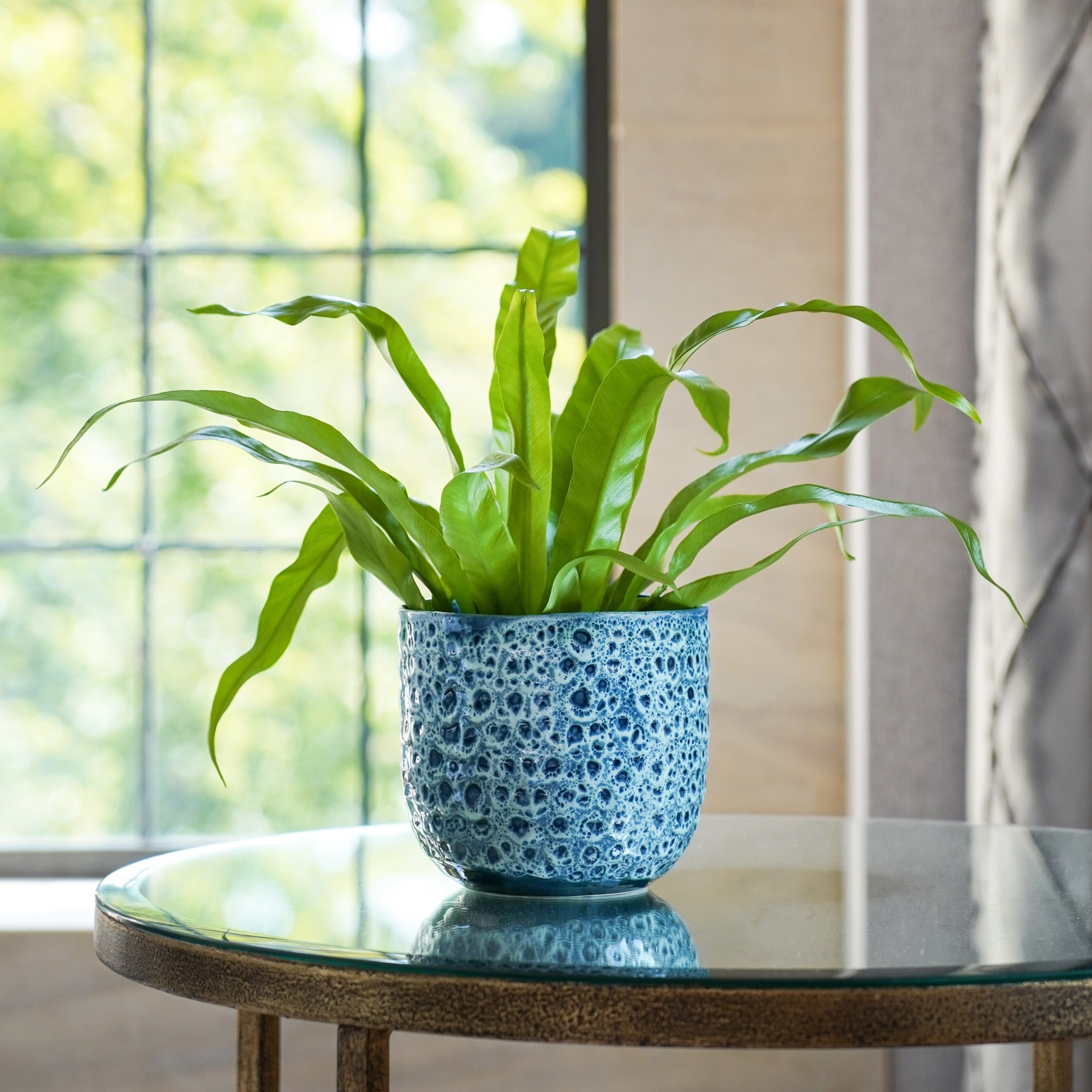 allen + roth LOSRGP7 Planter-Window-Box - View #6