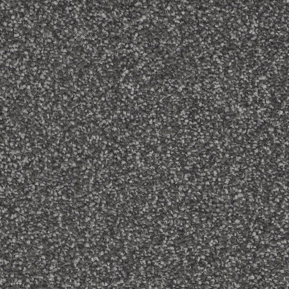 STAINMASTER S9753-988-1200-MO Outer Banks Shipwreck Gray 53-oz sq yard Polyester Textured Indoor Carpet