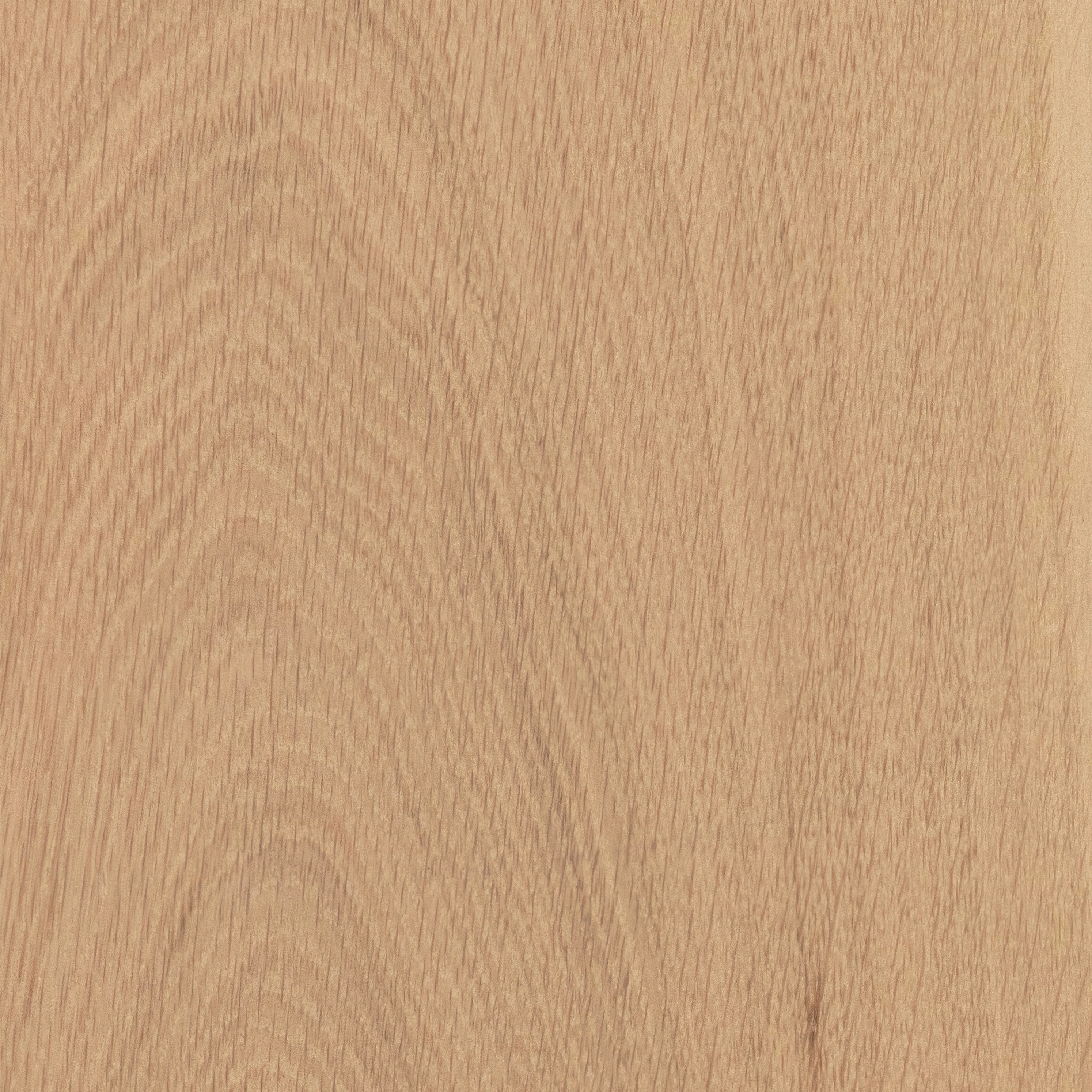 CALI 7602001117 Floor-Moulding - View #3