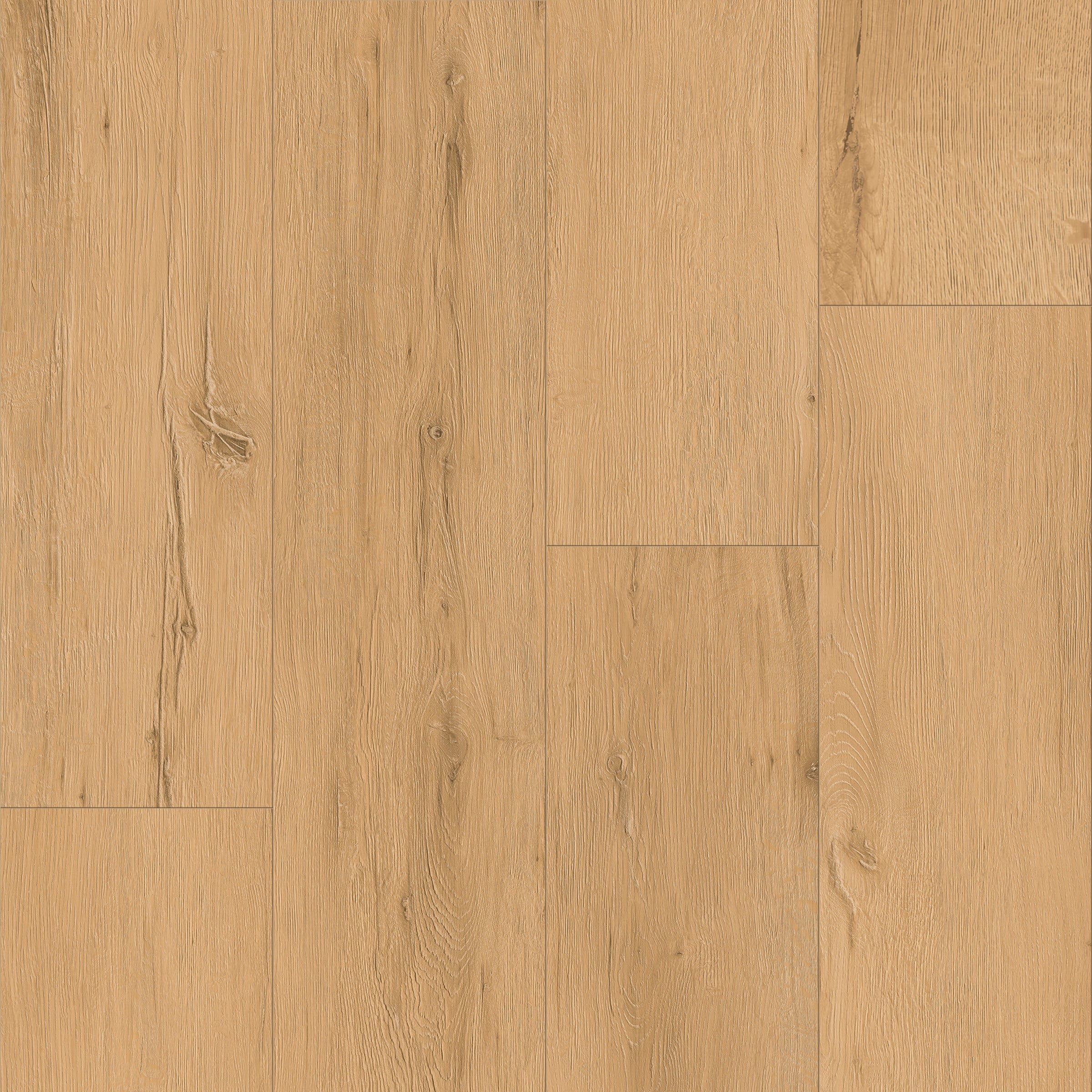 CALI 7902621407 (Sample) Legends Hidden Palm 20-mil x 6-in W Waterproof Flooring Sample Packs