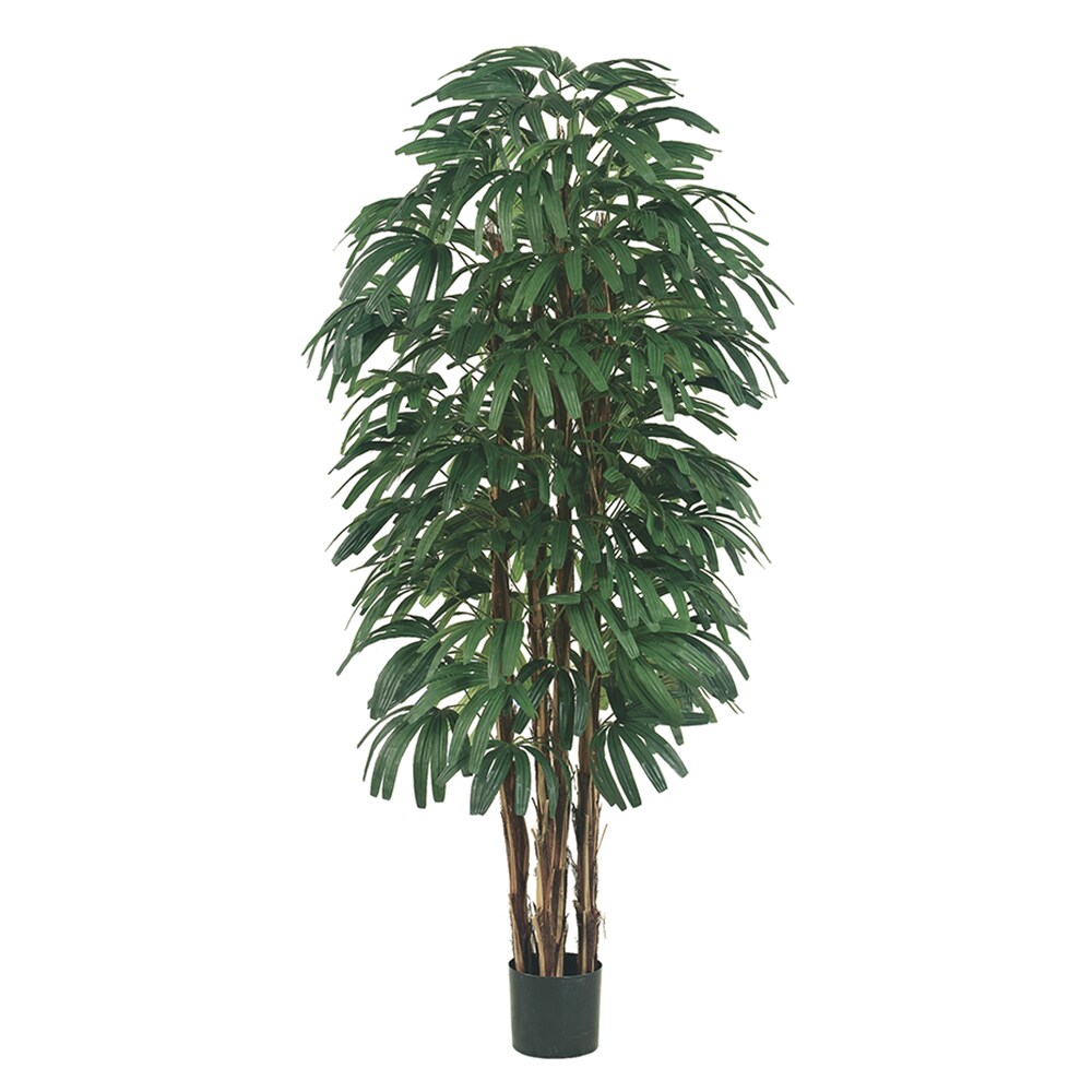 Allstate Floral LPR316-GR/TT 72-in Two Tone Green Indoor Floor Raphis Artificial tree