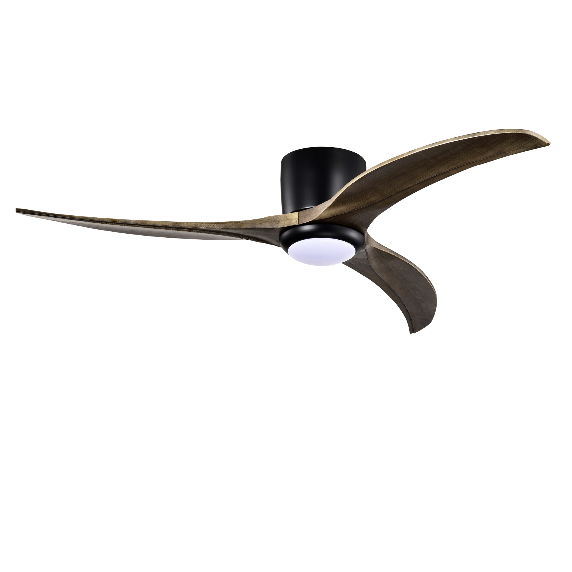 SINOFURN SYB570053BK Ceiling-Fans - View #9