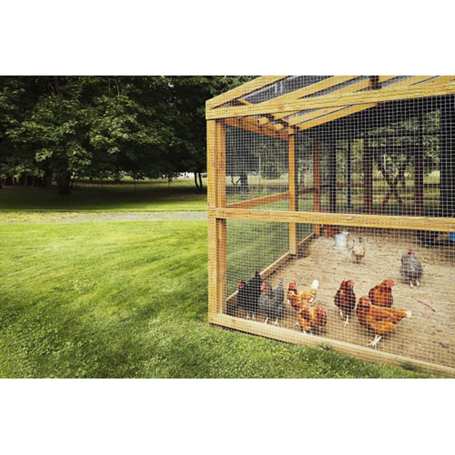 Mondawe MO-W2286P3753 Rolled-Fence - View #7