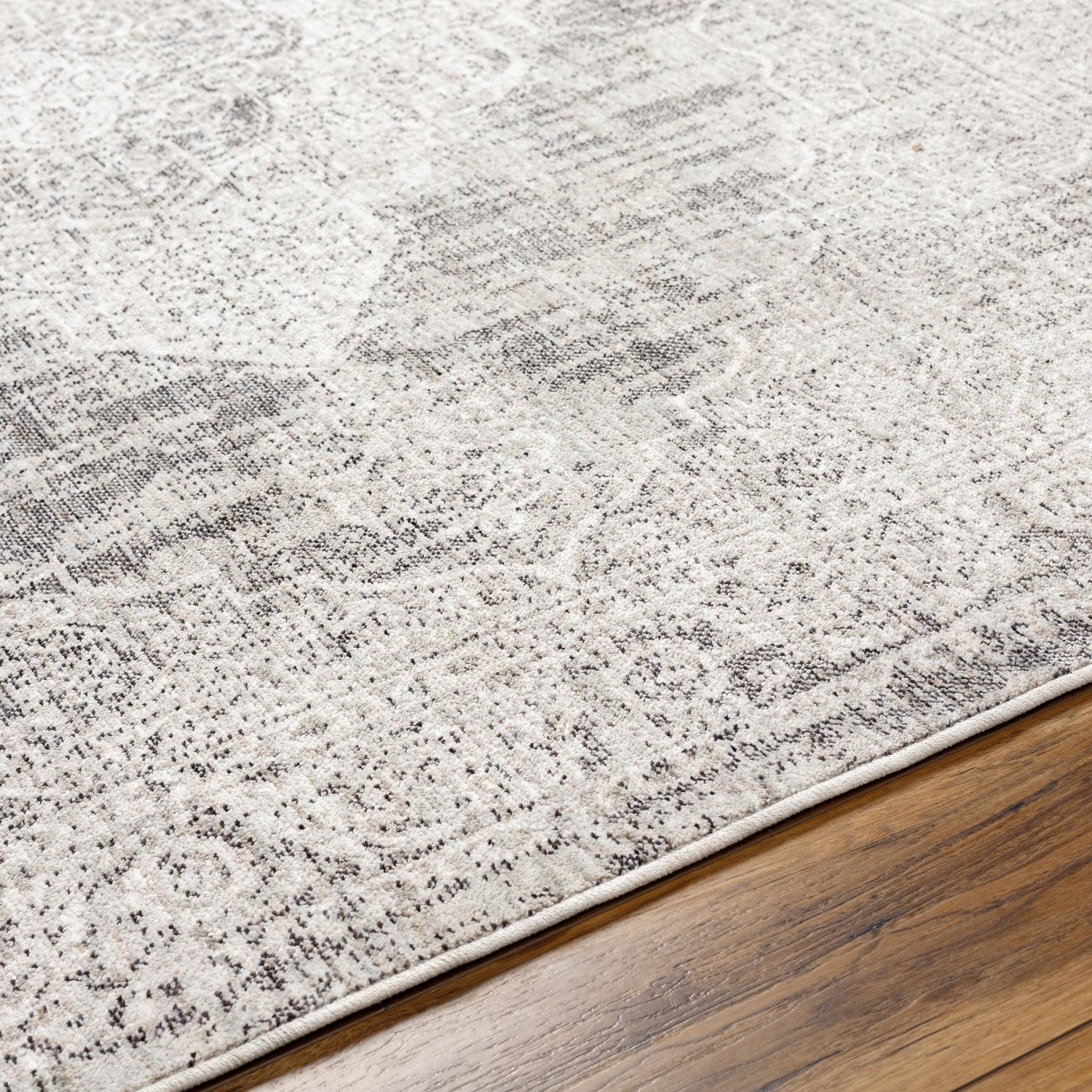 Livabliss JLT2305-71010 rugs - View #6