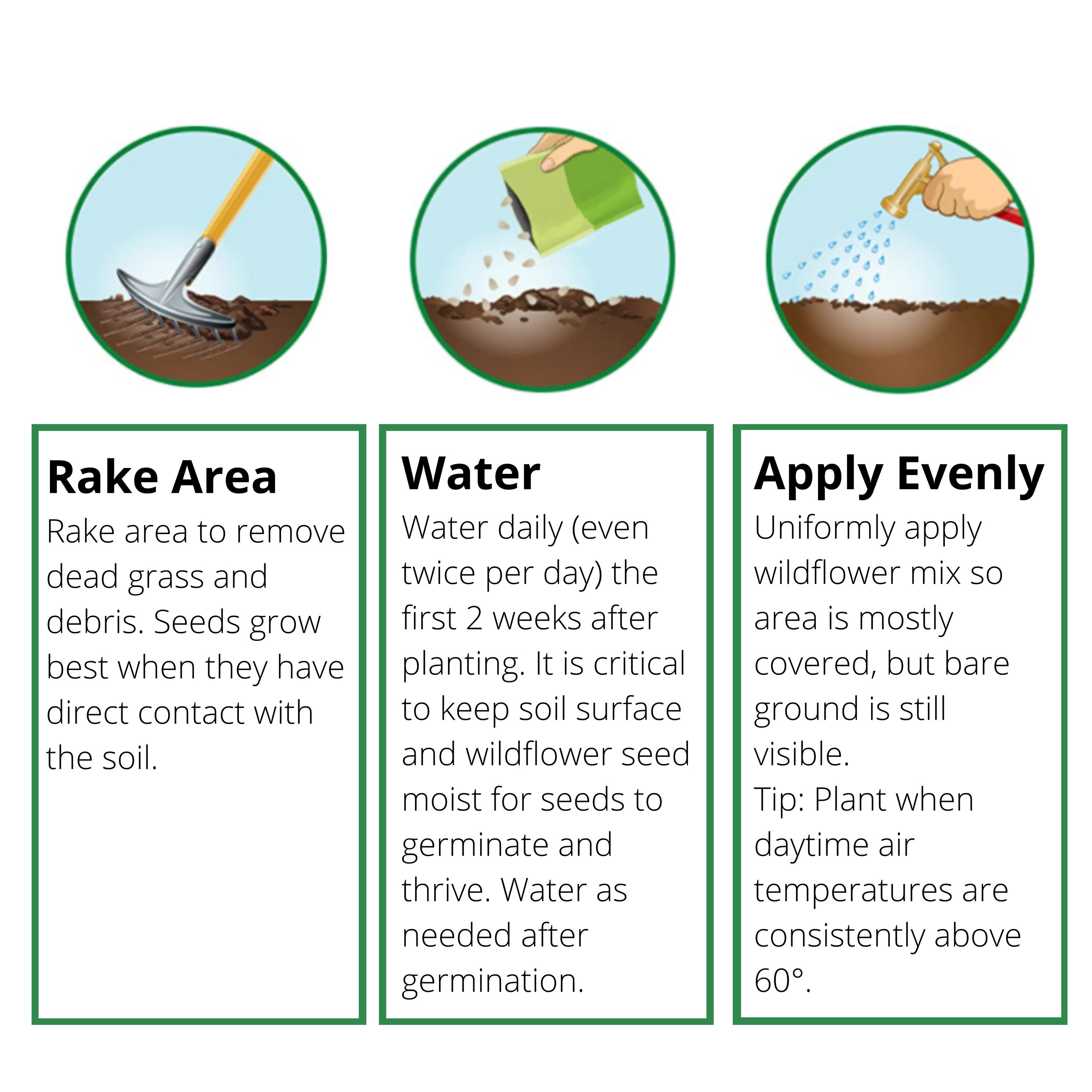 Earth Science 12137 seeds - View #8