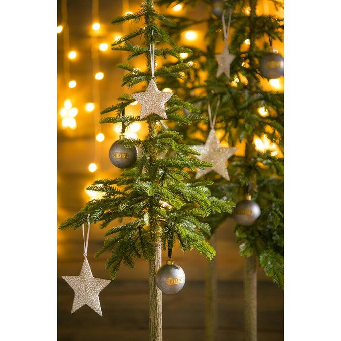 Evergreen 3-Pack Metal Indoor Ornament Set Shatterproof in the ...