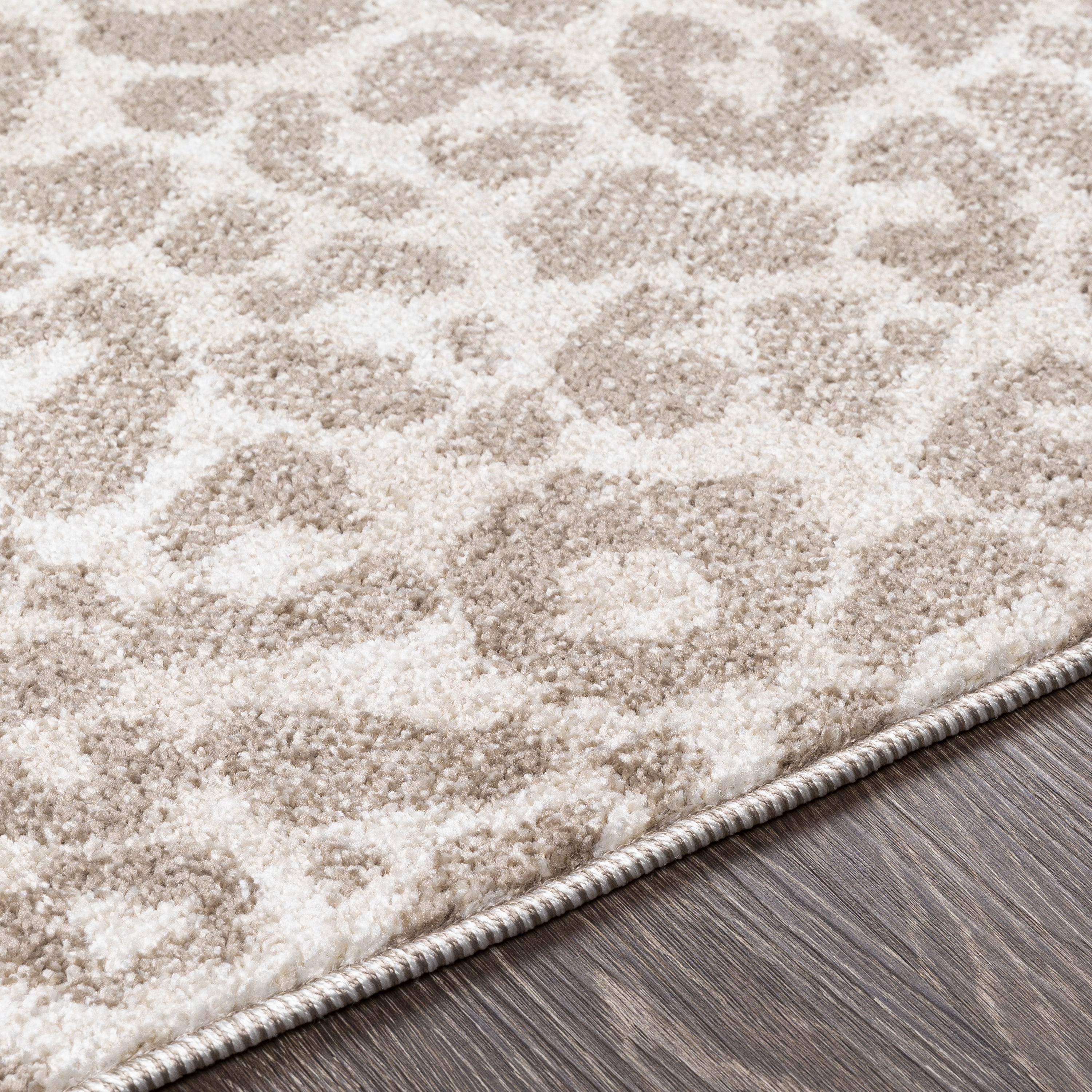 Livabliss PSN2306-69 rugs - View #5