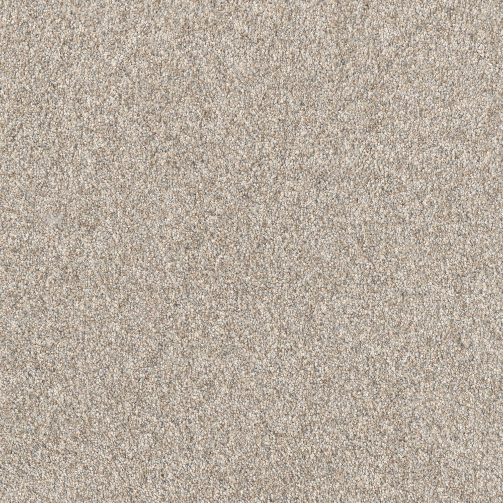STAINMASTER L3020-4227-1200-AB Blended Horizon II Toast Tan 75-oz sq yard Solution-dyed polyester Textured Indoor Carpet