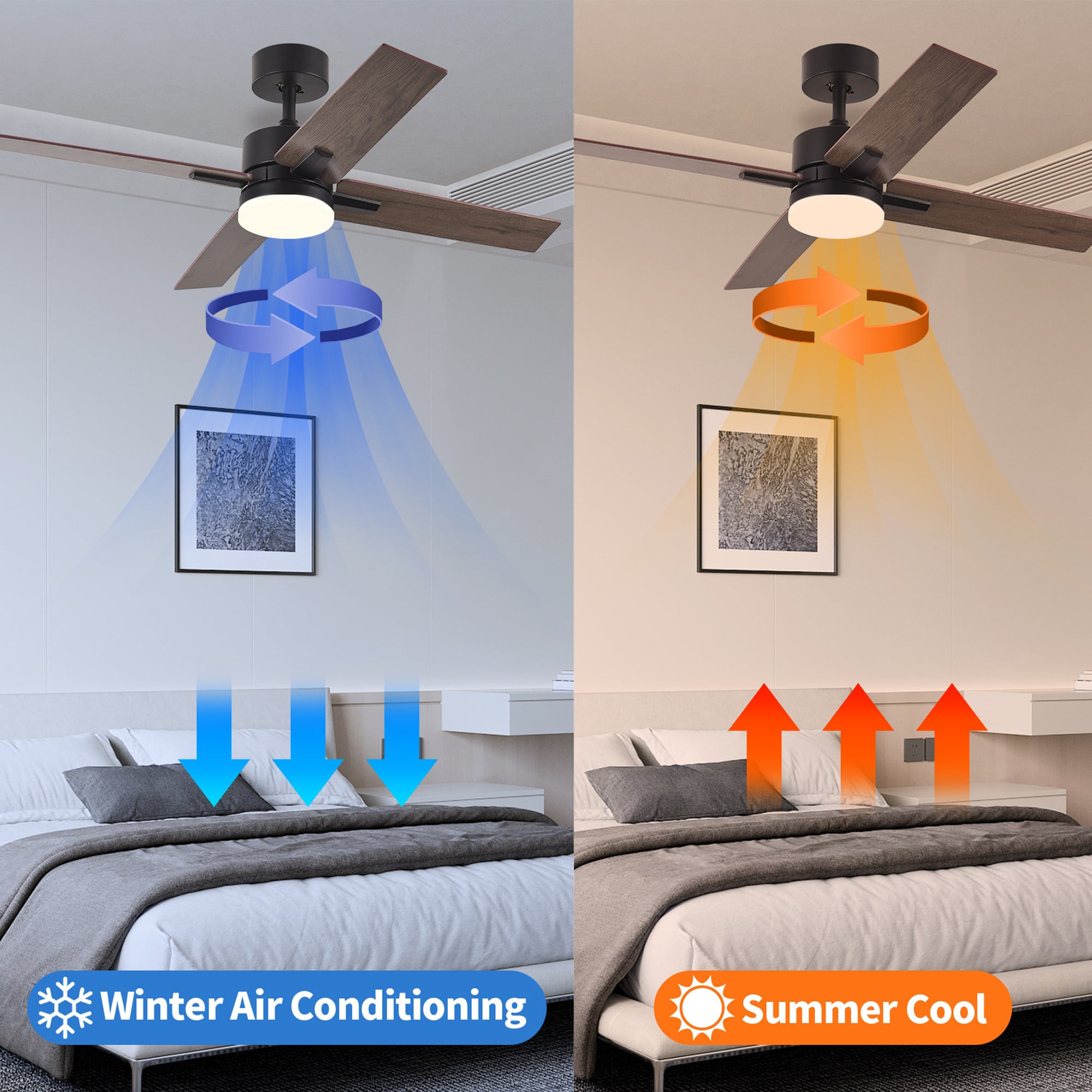 Sunrinx MG65-10-FSD Ceiling-Fans - View #8