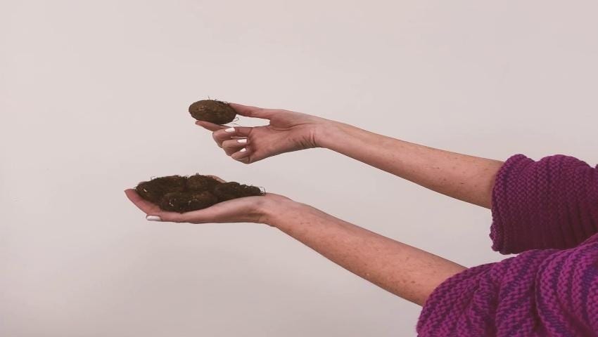 A thumbnail for the video