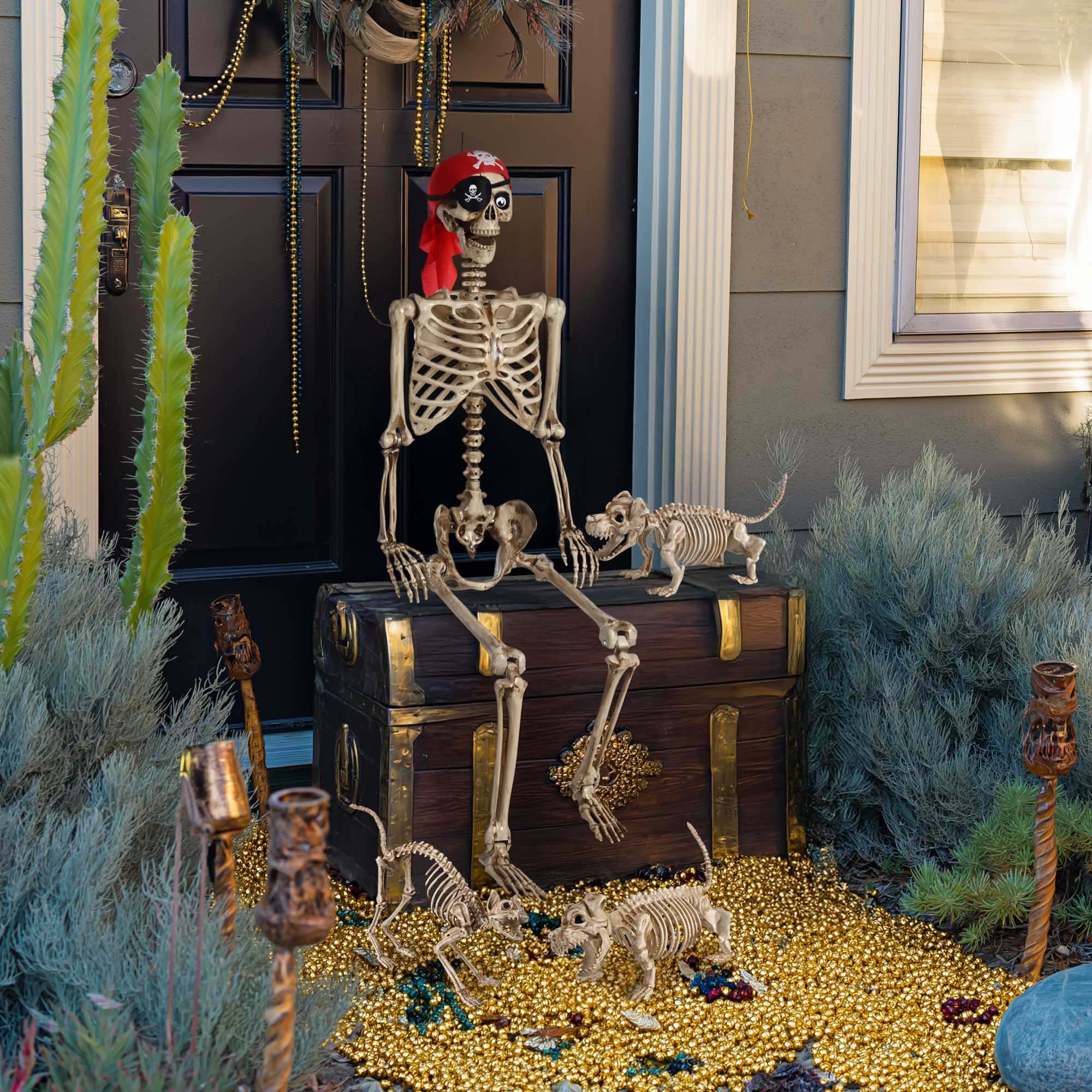 Yescom  5.6 -FT Life Size Pirate Skeleton with 2 Pcs Dachshund Dog 1 Pcs Cat Skeleton Party Decoration 2026