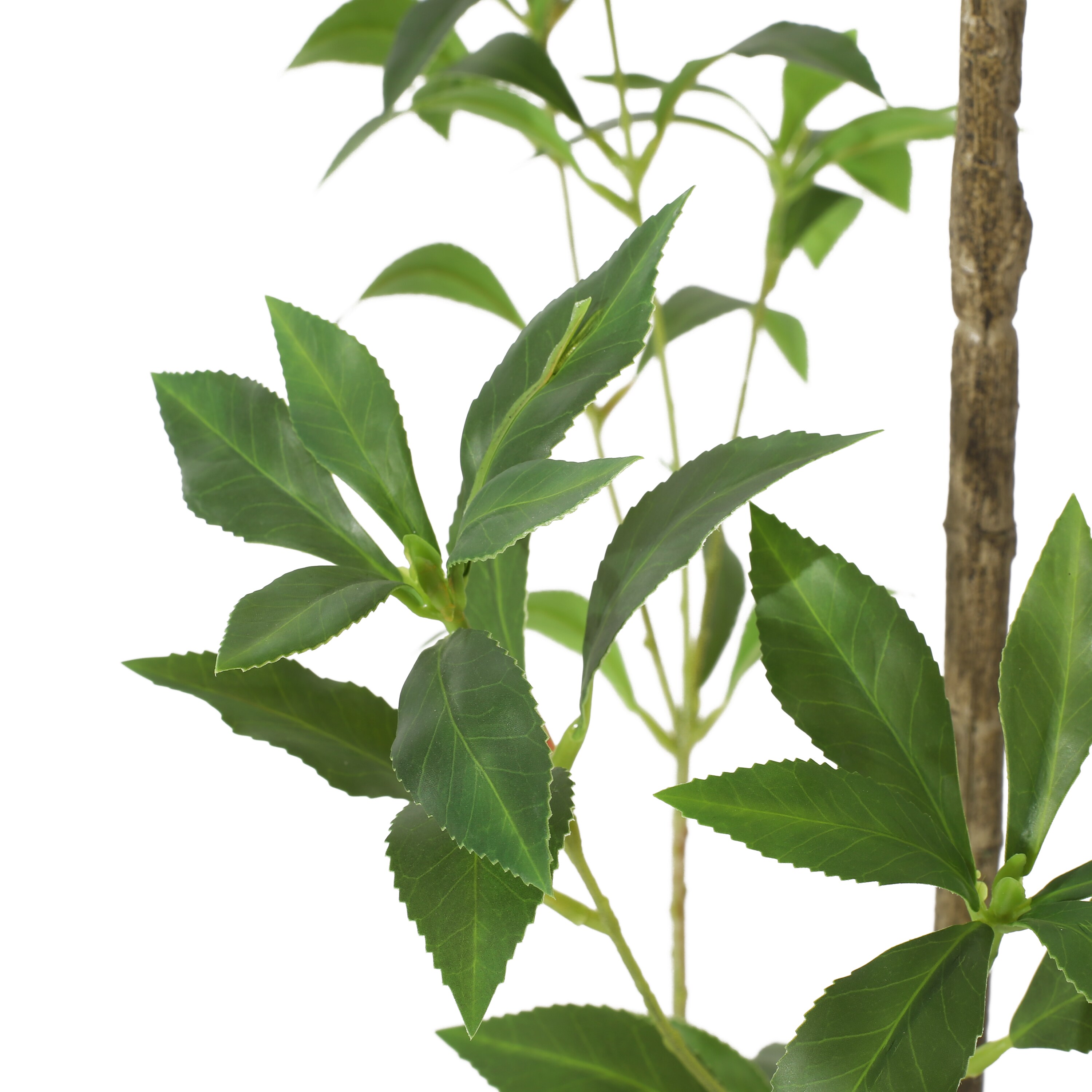 Wooakway FXLS0606-606AP200 Artificial-Plants-Trees - View #4