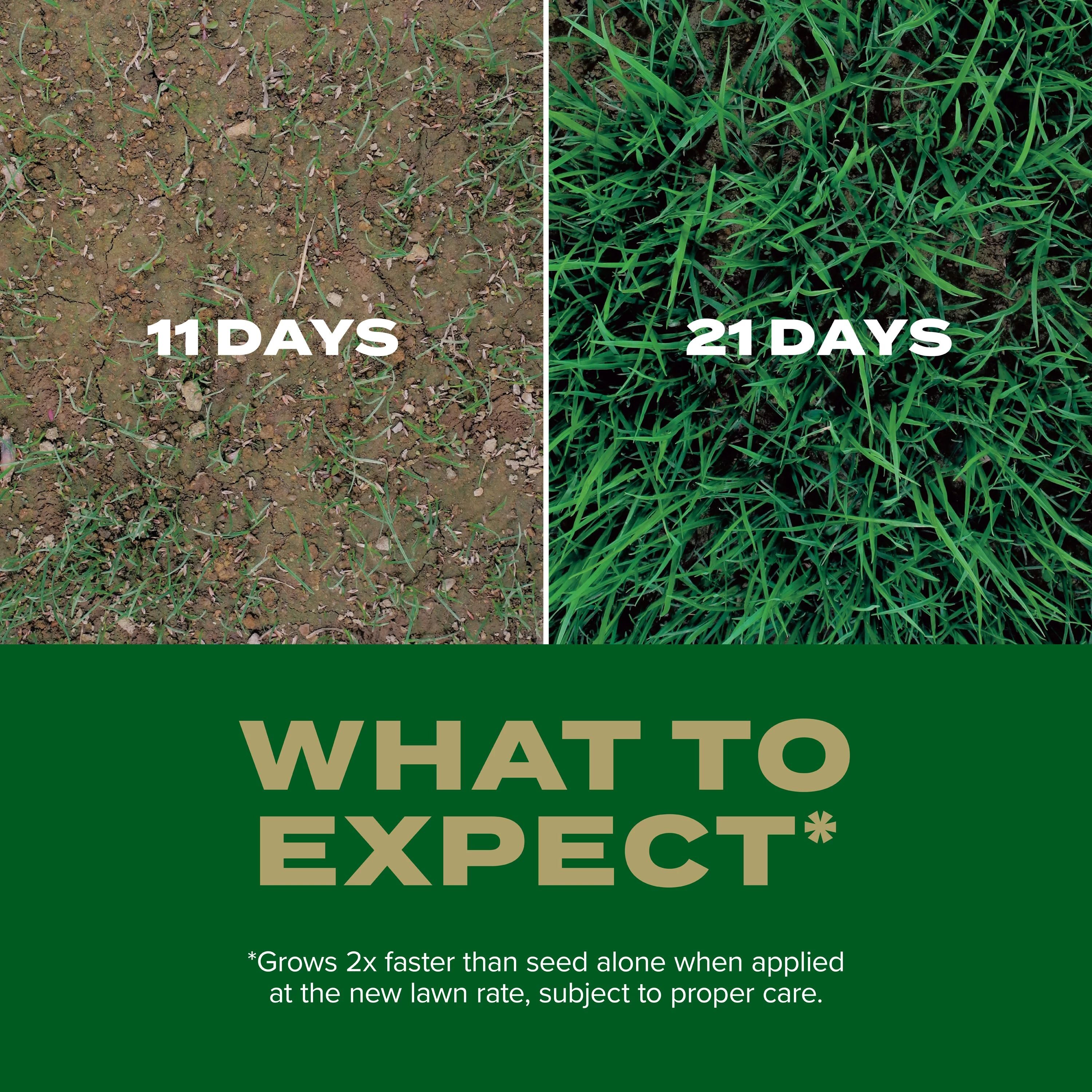 Scotts 18411 Grass-Seed - View #5