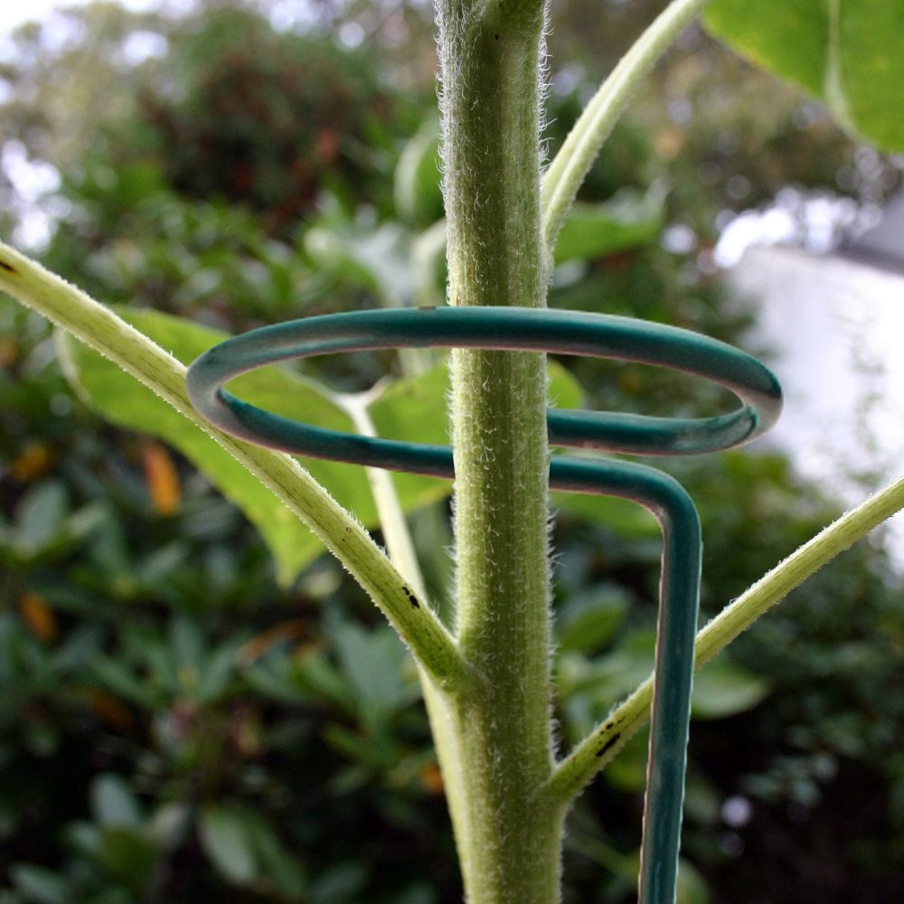  89331L Stake-Sheep-Hook - View #3