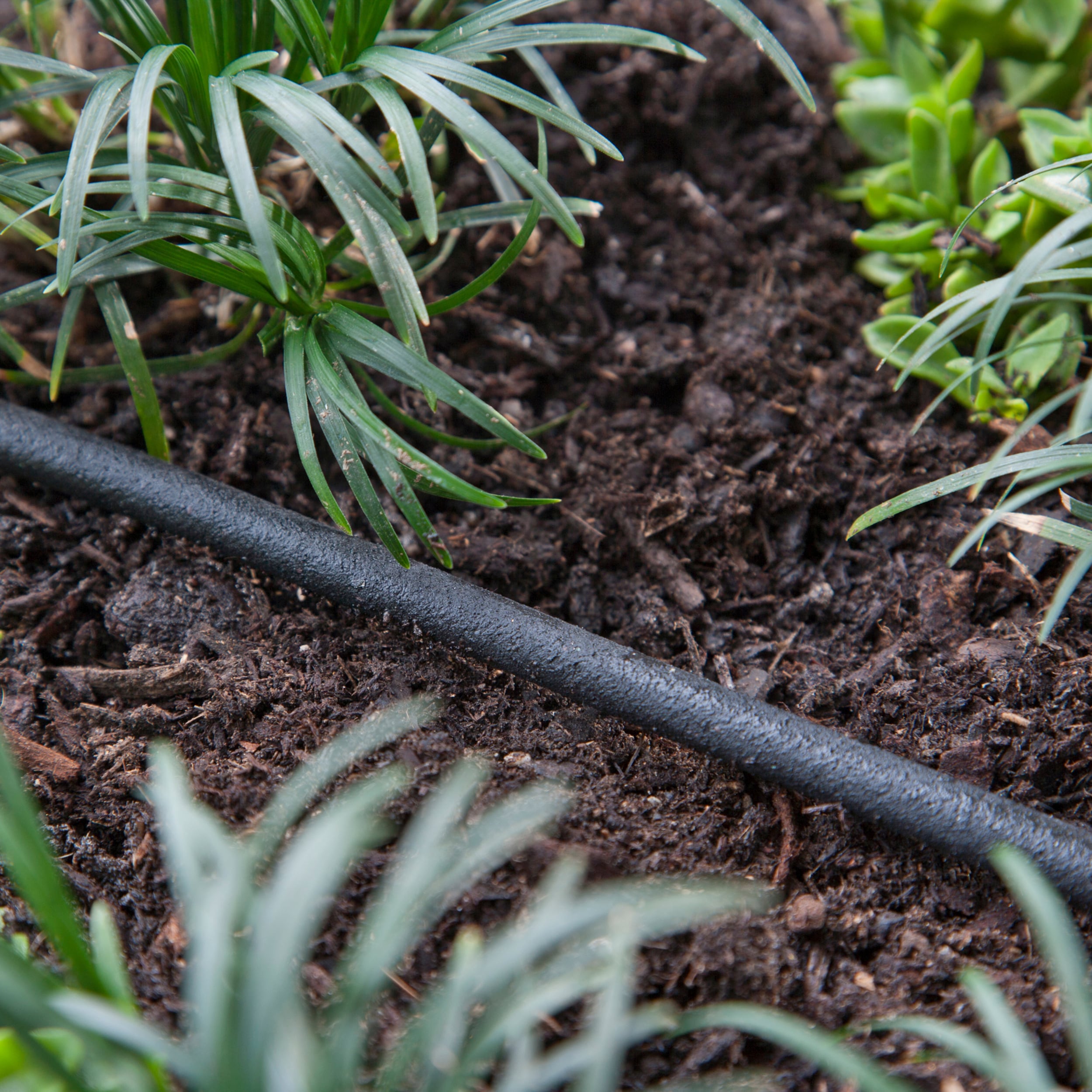Optimize Your Watering: 1/4 Drip Tube for Precise Garden Irrigation