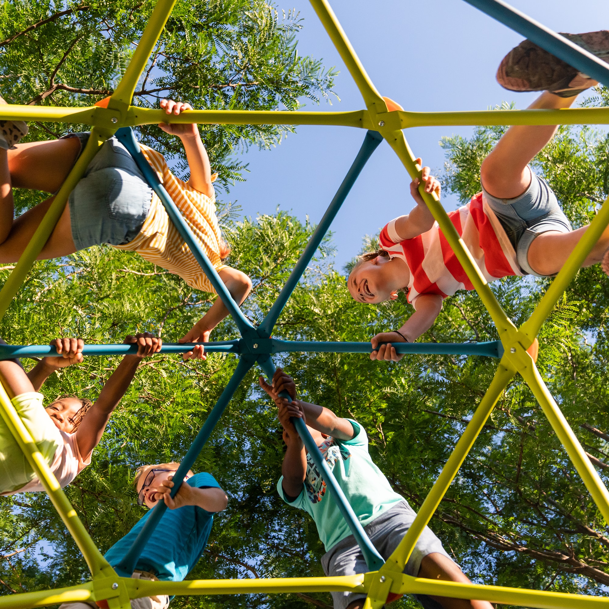 LIFETIME PRODUCTS 90994 climbers - View #5