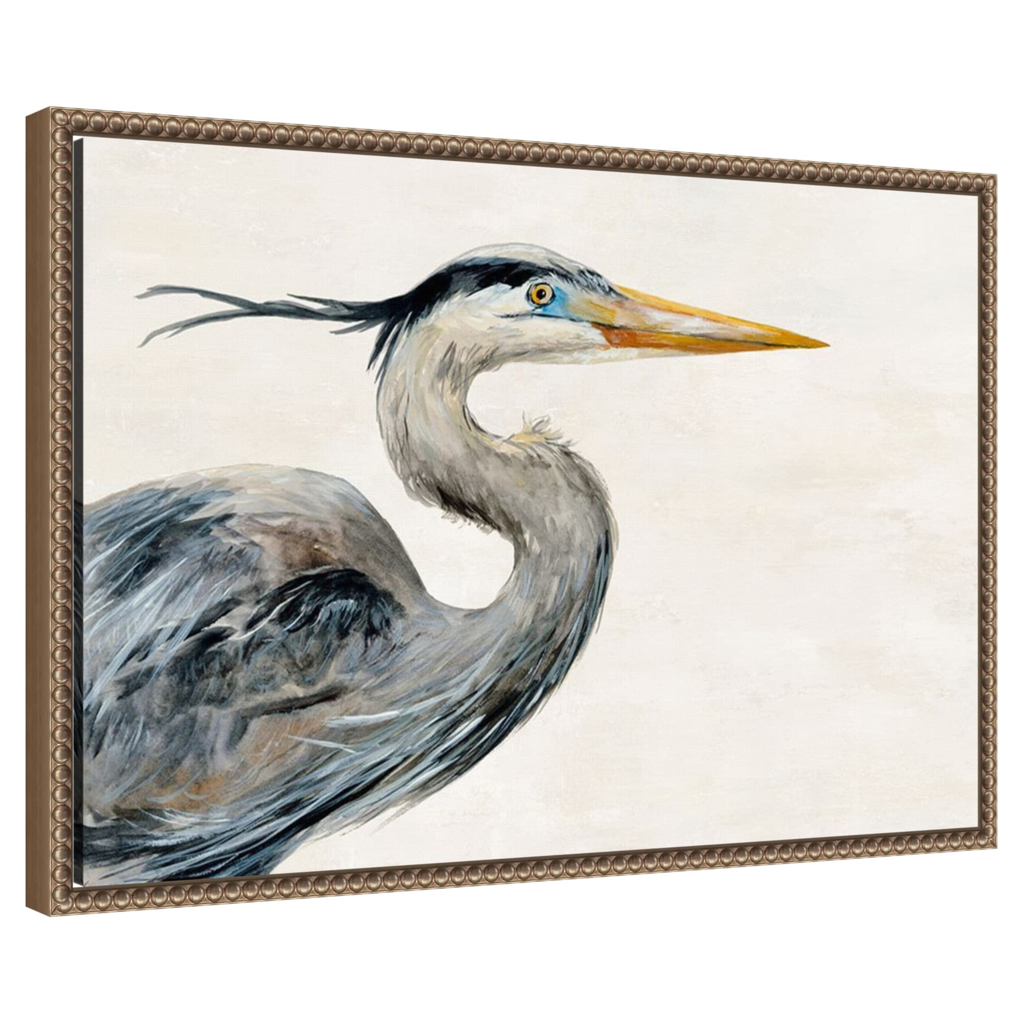 Amanti Art - Wings of Tranquility by Jacob q Framed Canvas Wall Art Print 23 W x 16 H in.
