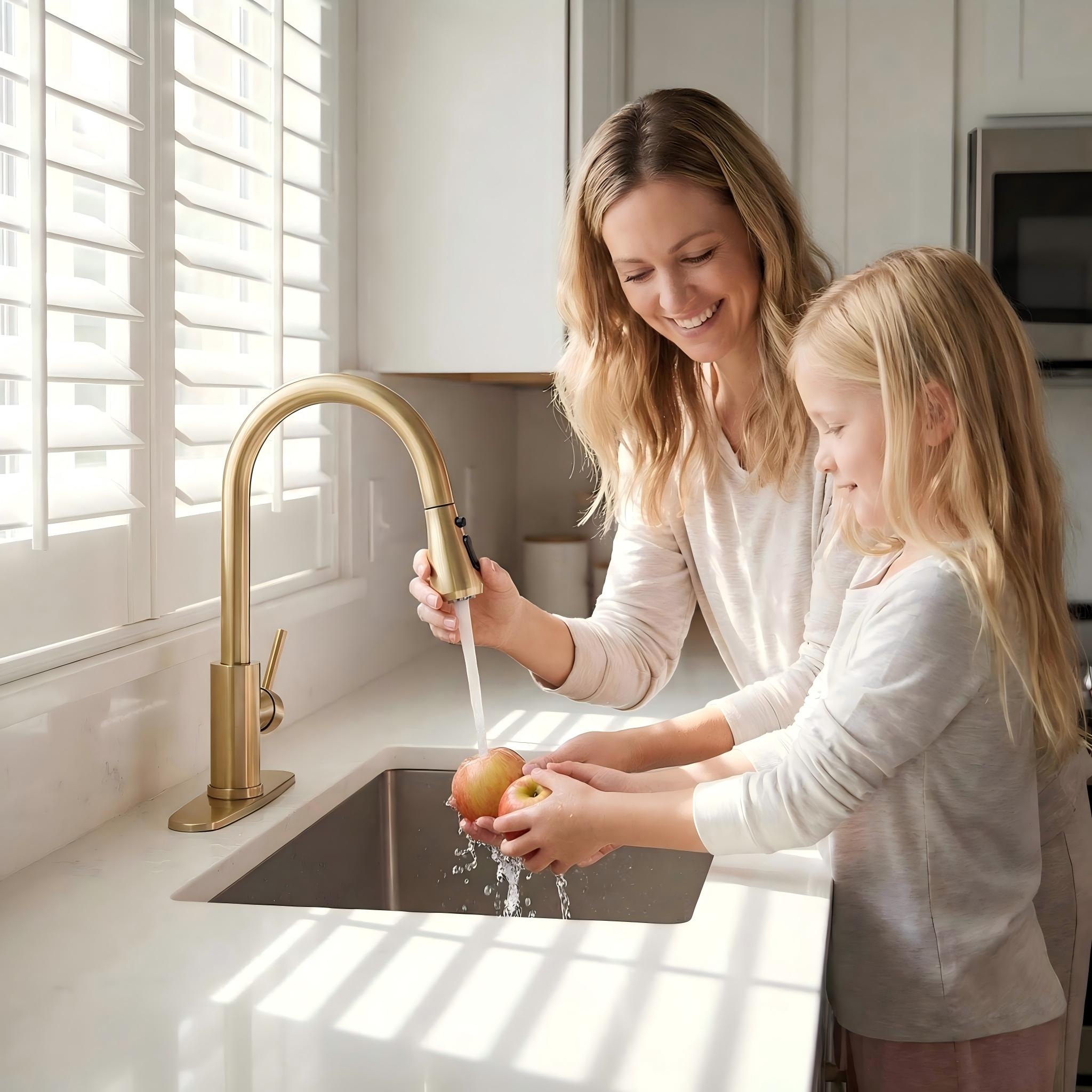 BYH KF-3003-BG Kitchen-Faucets - View #10
