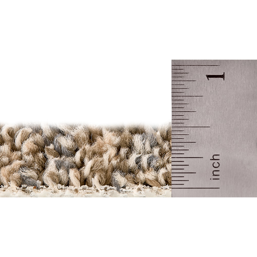 STAINMASTER SS033-L006-0808 Carpet-Samples - View #5