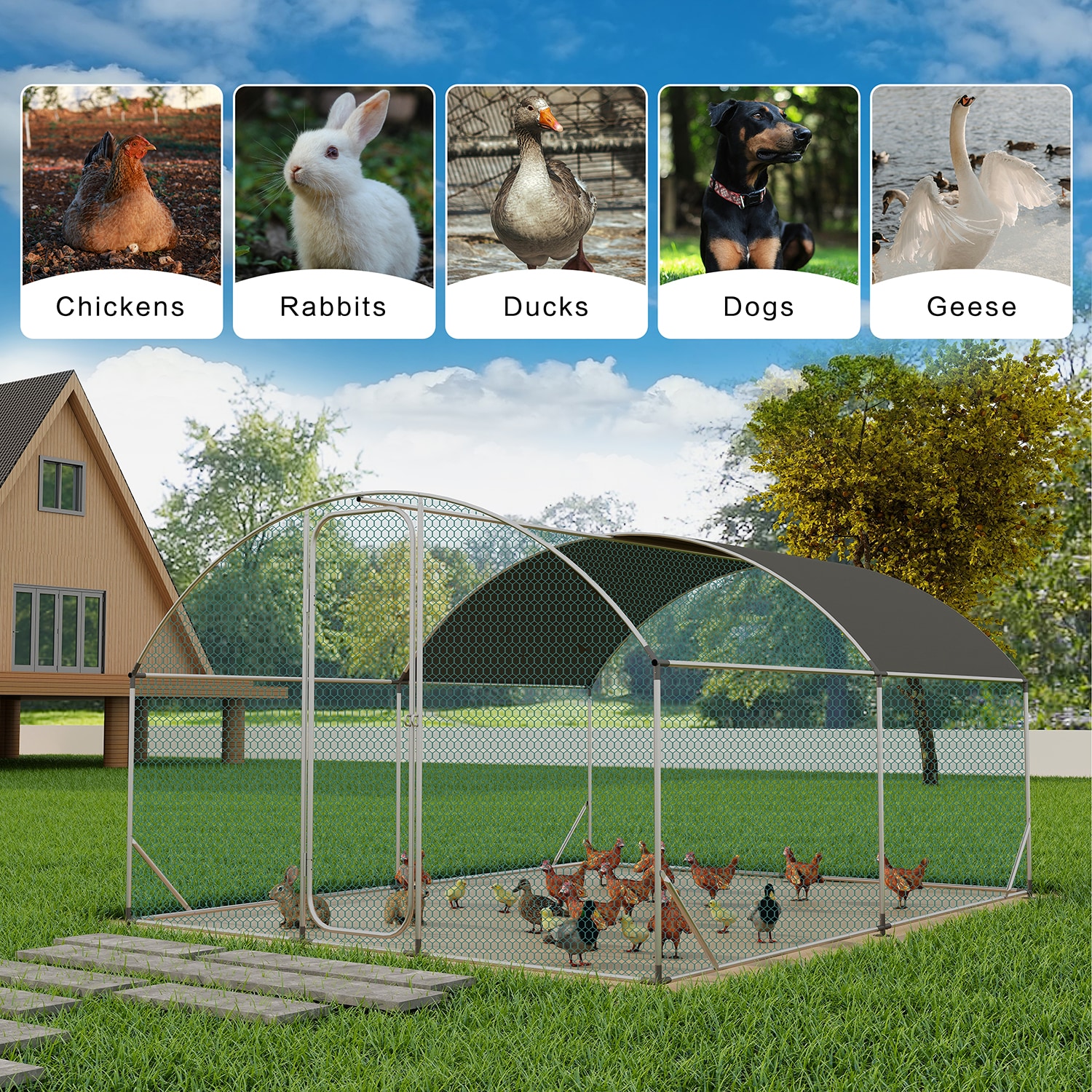 Mondawe MD-CH00021 Chicken-Coops-Rabbit-Hutches - View #4
