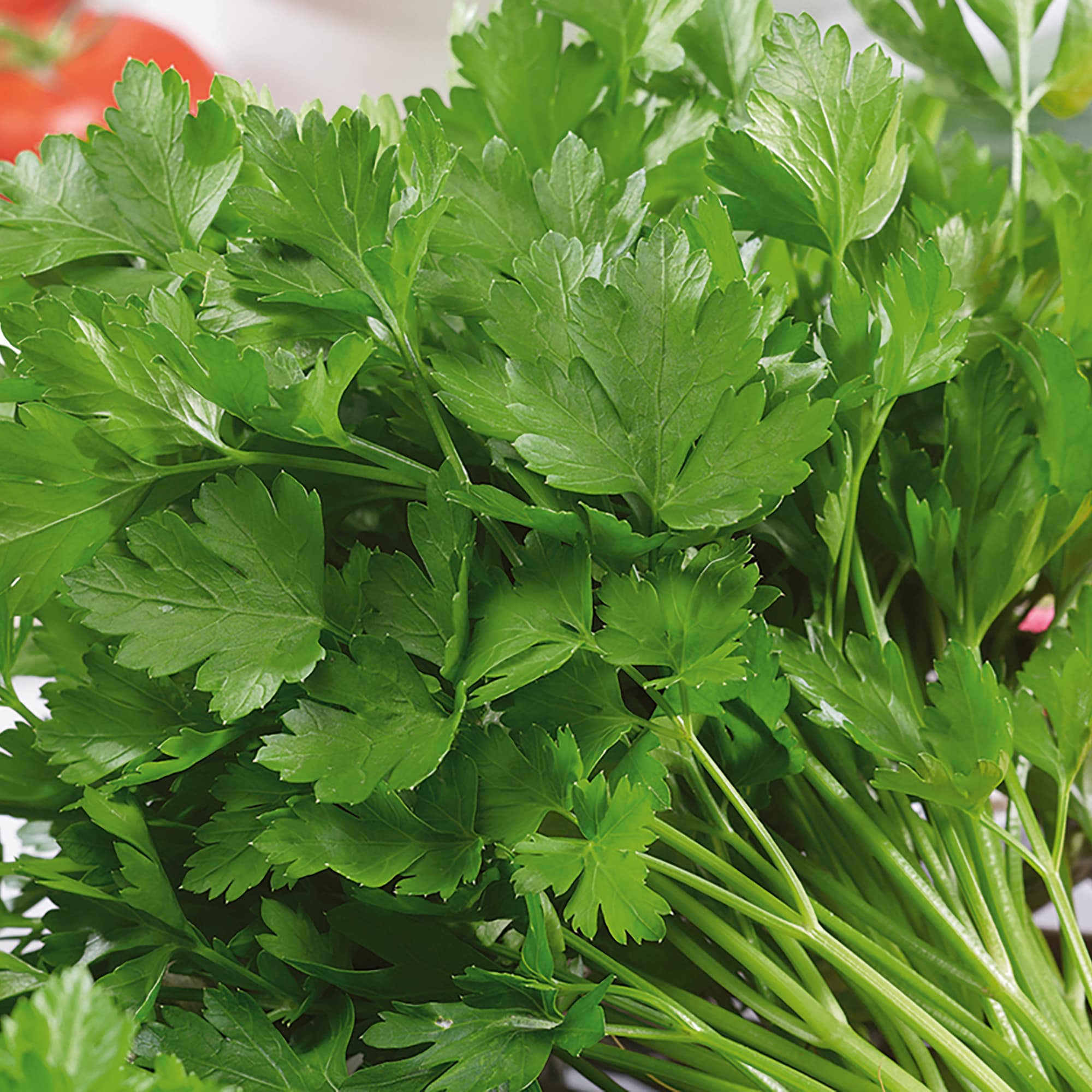 Back to the Roots 50060 Vegetable-Herb-Seeds - View #8