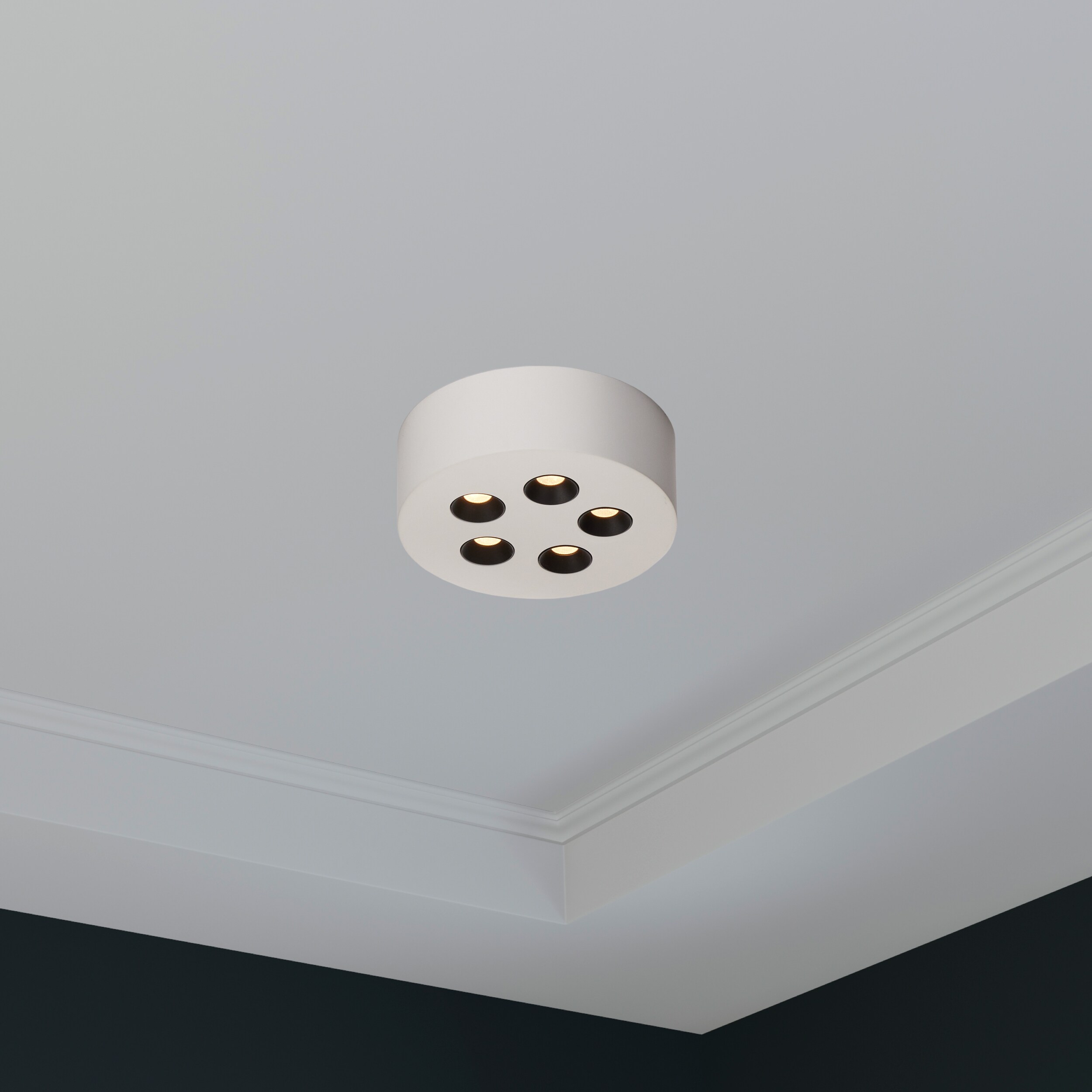 ET2 E25010-WT flushmounts - View #6