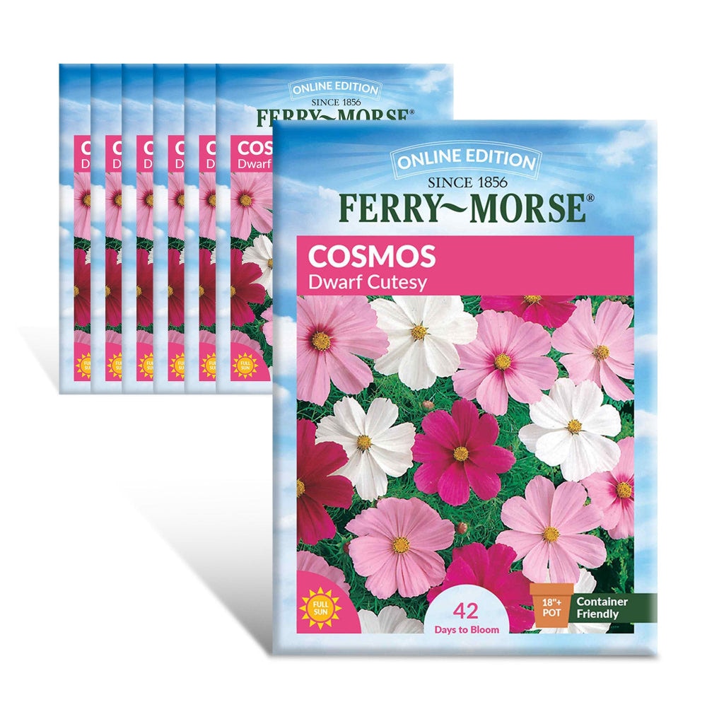 Ferry-Morse Online Edition Cosmos Dwarf Cutesy Mixed Colors Seed
