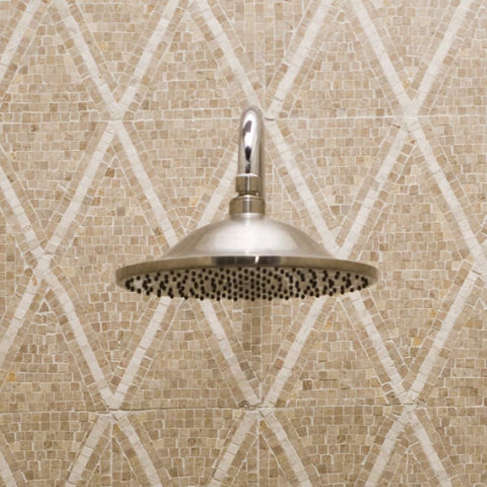 American Standard 1660610.002 Fixed-Showerhead - View #2