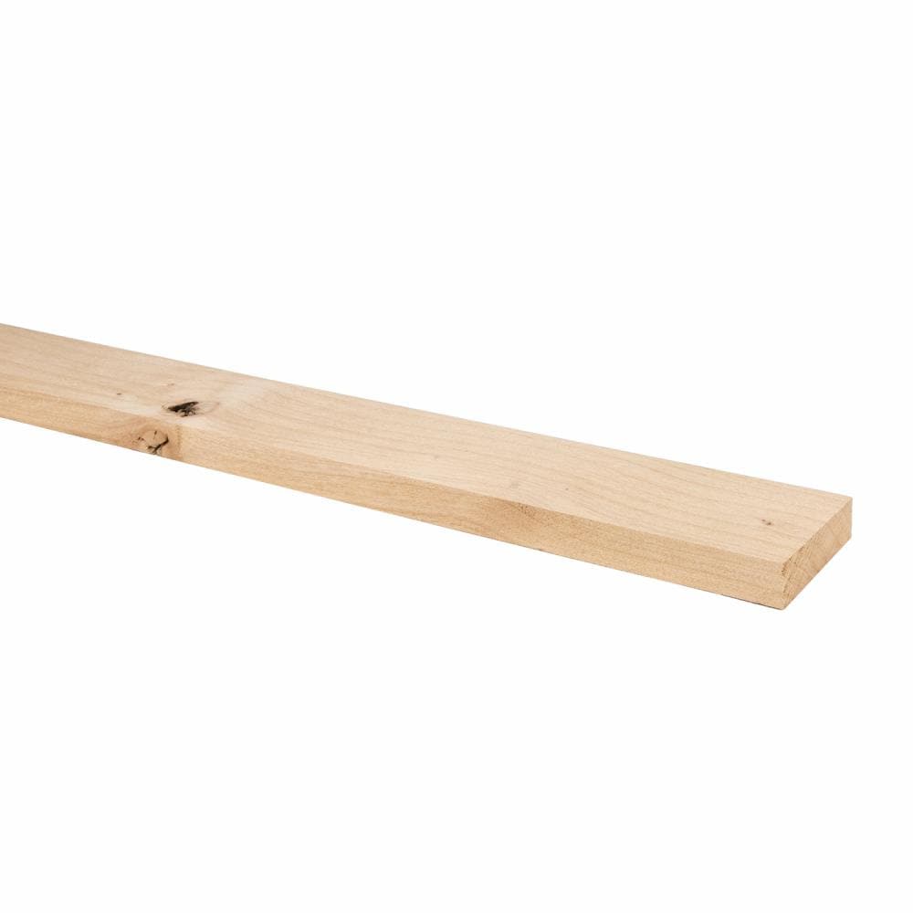 1/8" x 2" x 12" Alder Thin Stock Lumber Board 