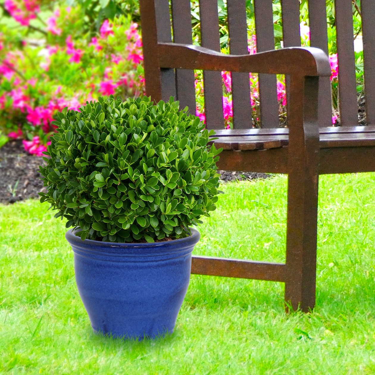 Sunnydaze Decor AP-971 Planter-Window-Box - View #13