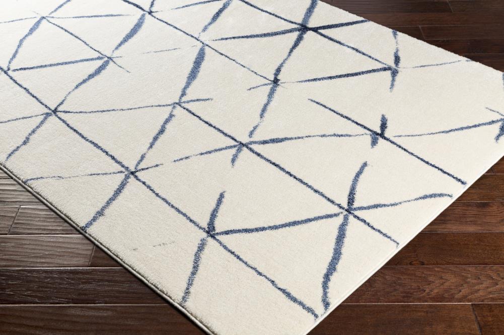 Surya BYL1006-7101010 rugs - View #6