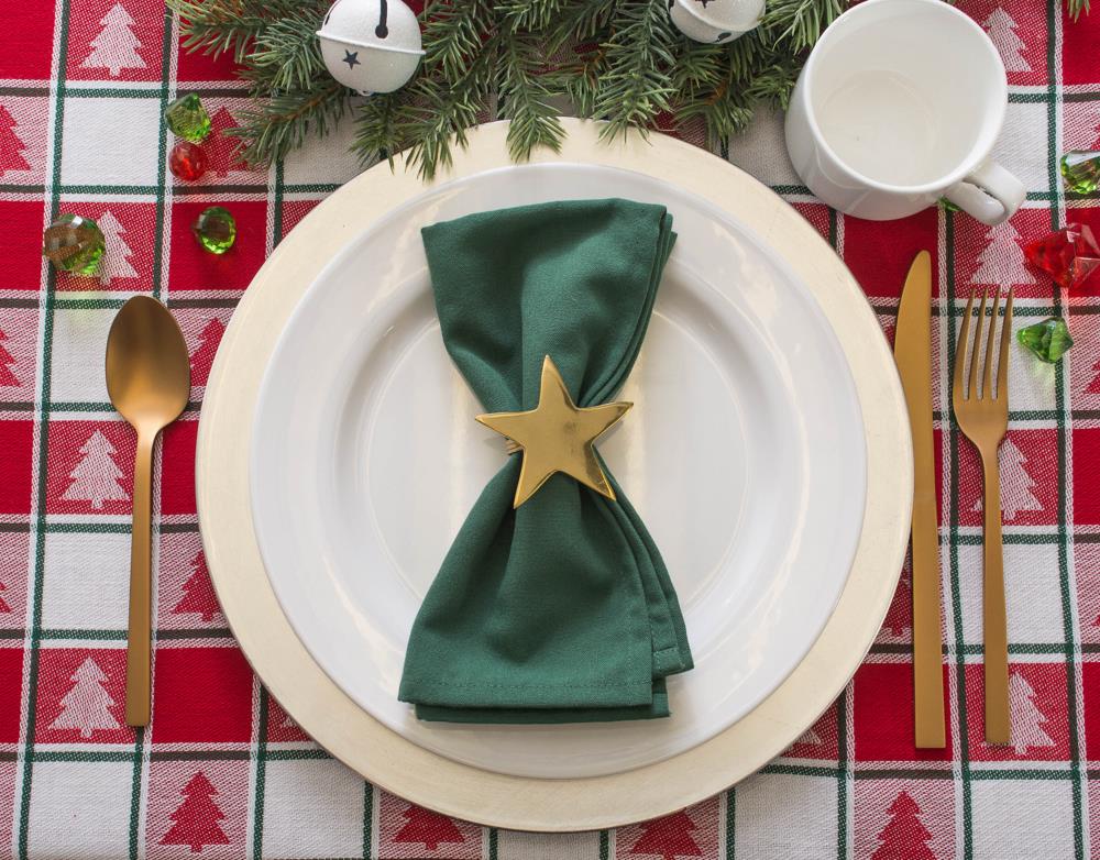 DII CAMZ31876 napkins - View #3