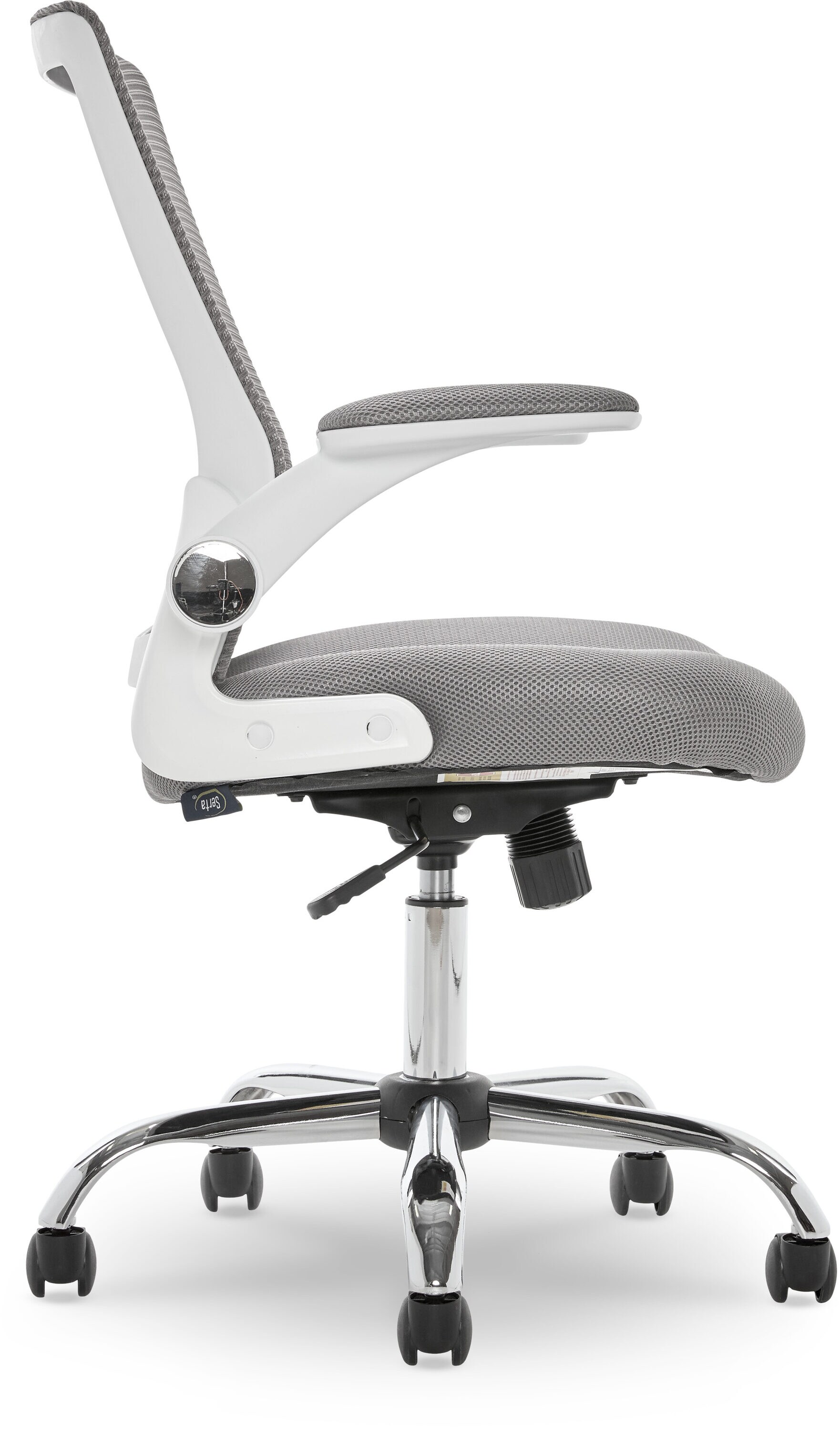 Modern Gray Mesh Ergonomic Office Chair with Adjustable Arms