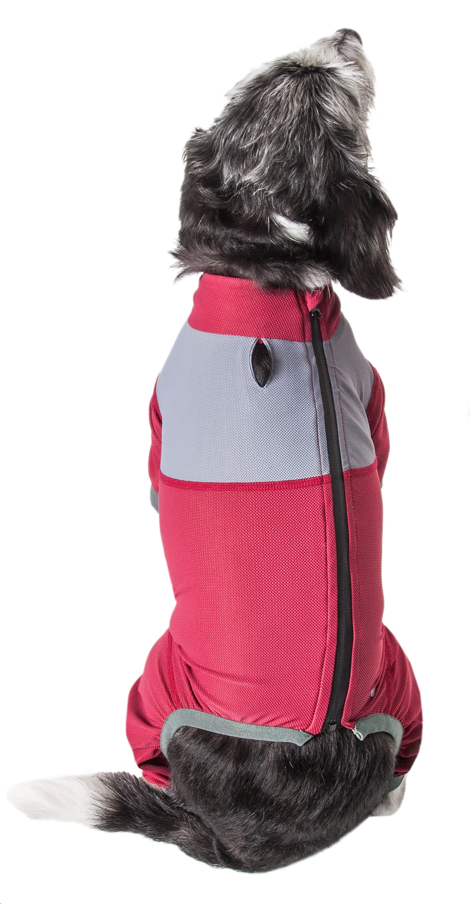 Dog Helios YGHL9RDXS Dog-Apparel - View #3