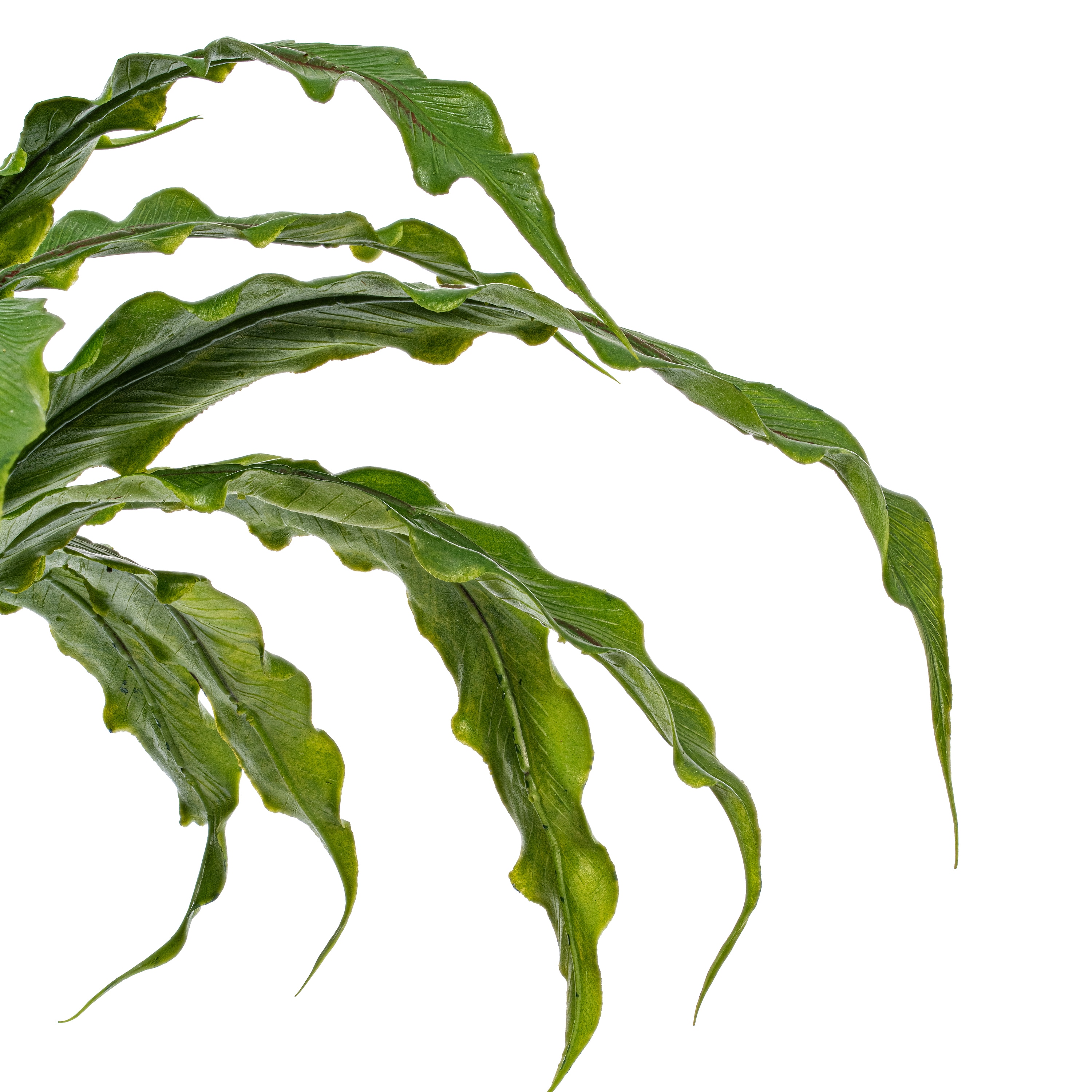 Vickerman FU191313 Artificial-Plants-Trees - View #3
