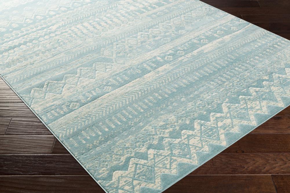 Surya CIT2363-5373 rugs - View #7