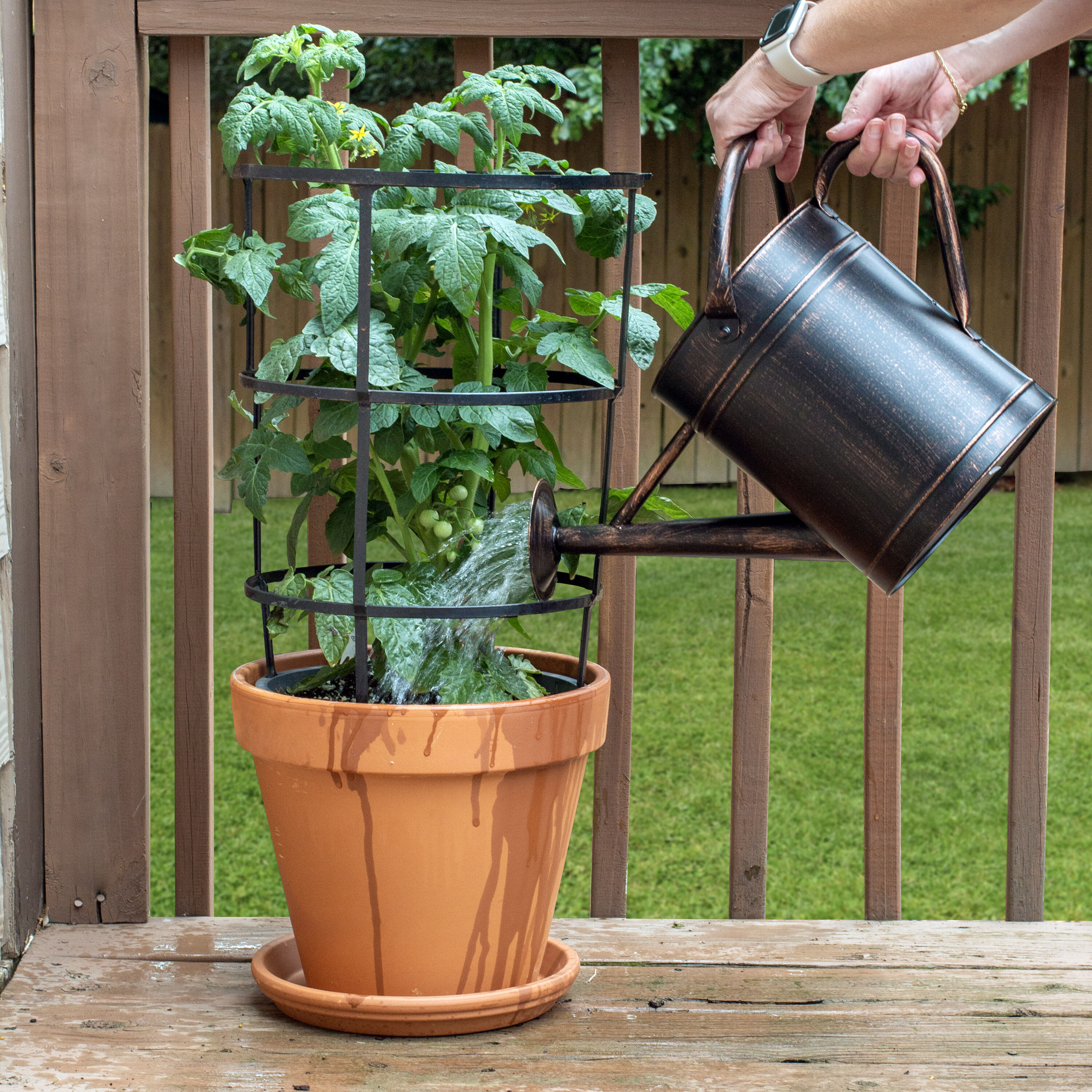 Sta-Green 2149602863 Plant-Food - View #13